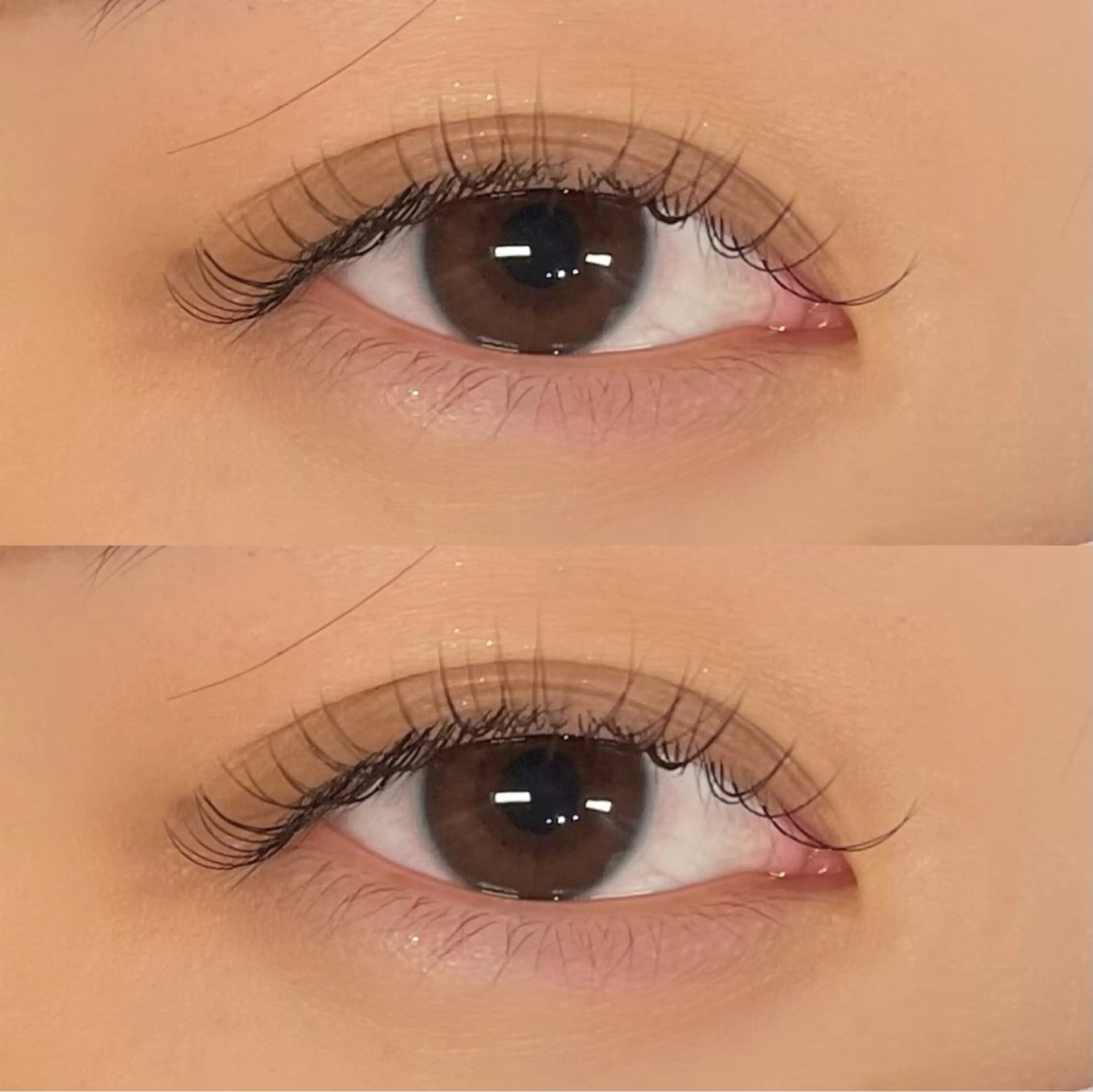 マツエク・マツパ セーブル Lumina miyabiのマツエク・マツパデザイン