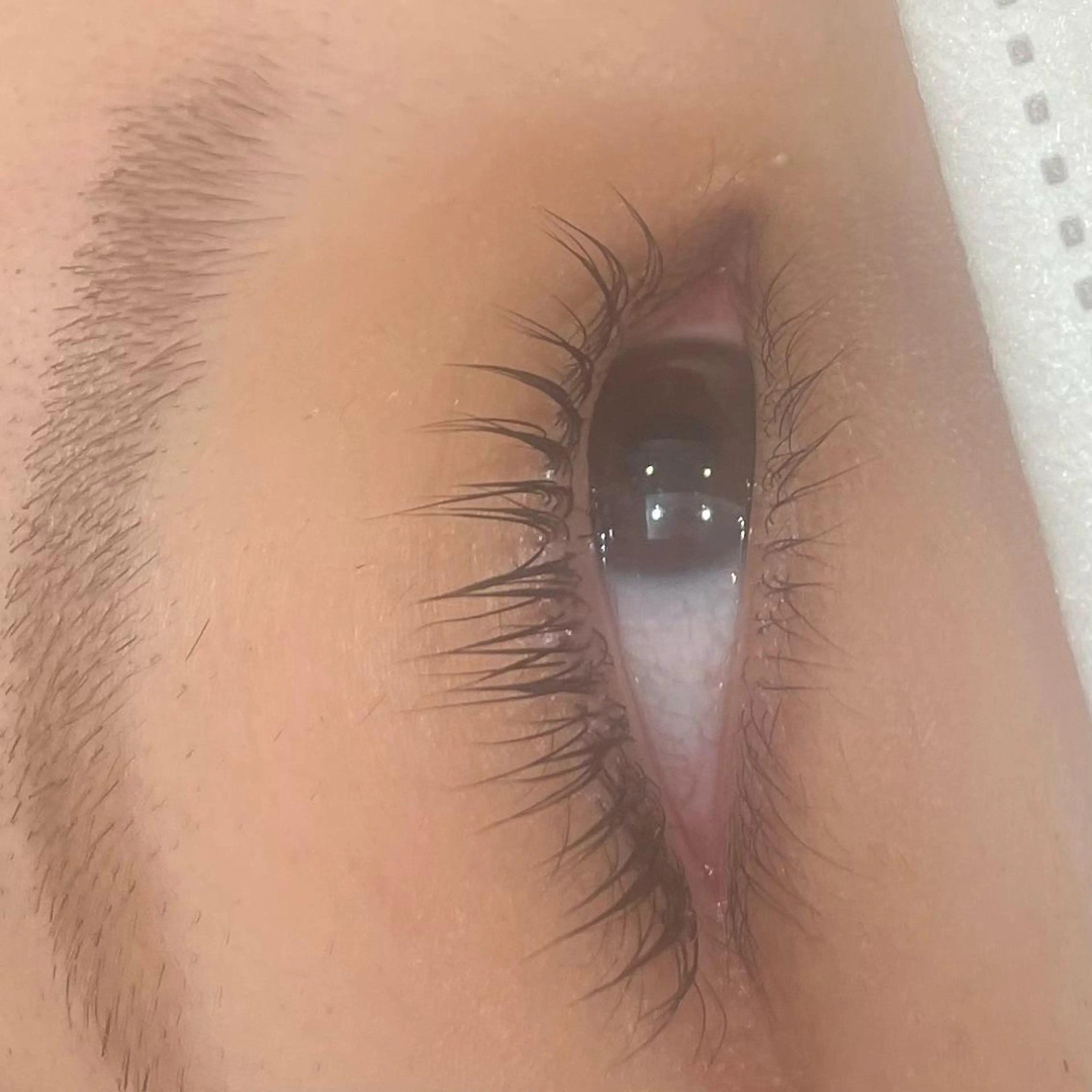 マツエク・マツパ パリジェンヌラッシュリフト マツパ MODEK'S松原 Haruのヘアスタイル