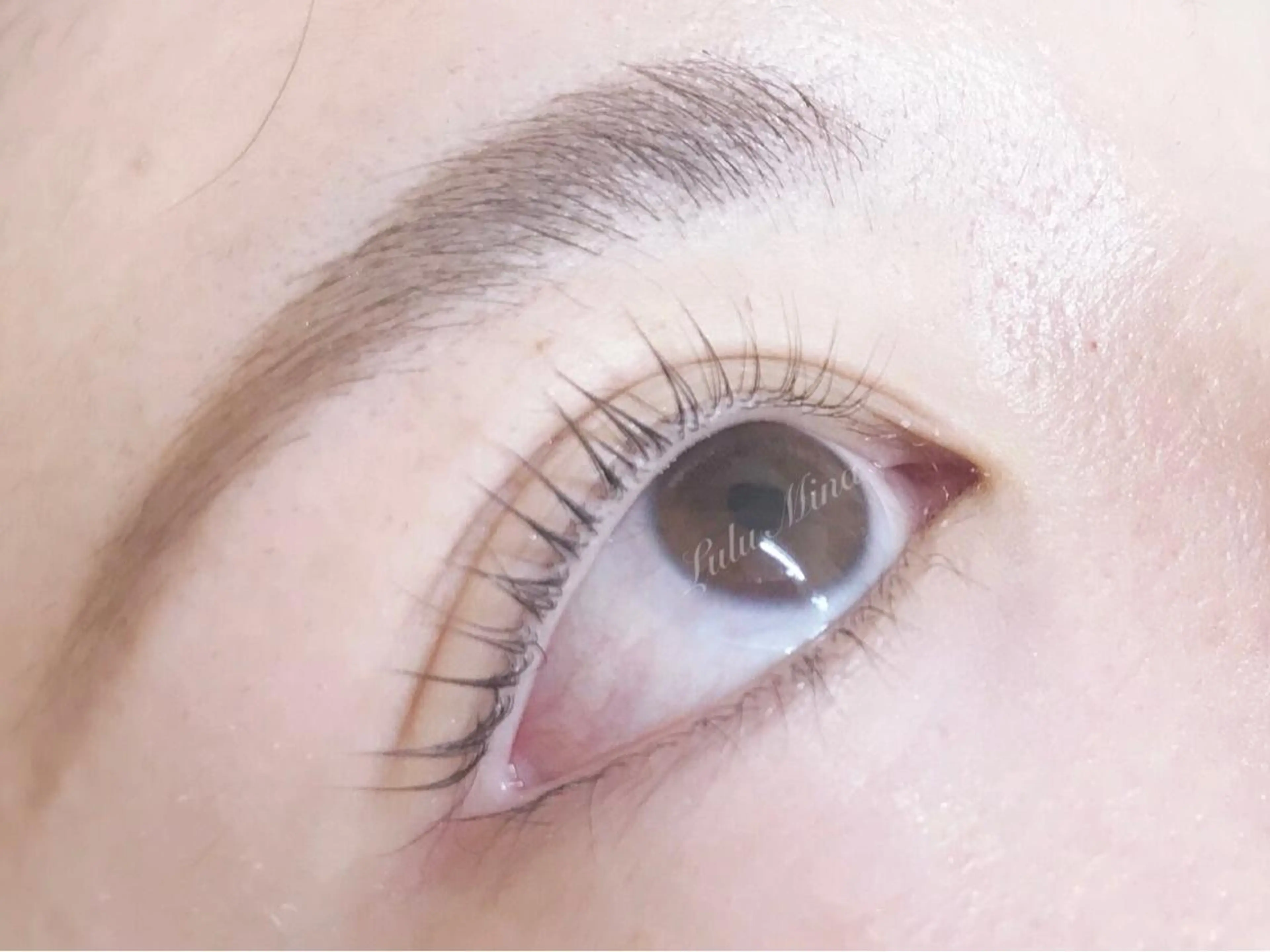 無料モデル募集☆まつげパーマ/ラッシュリフト☆の写真