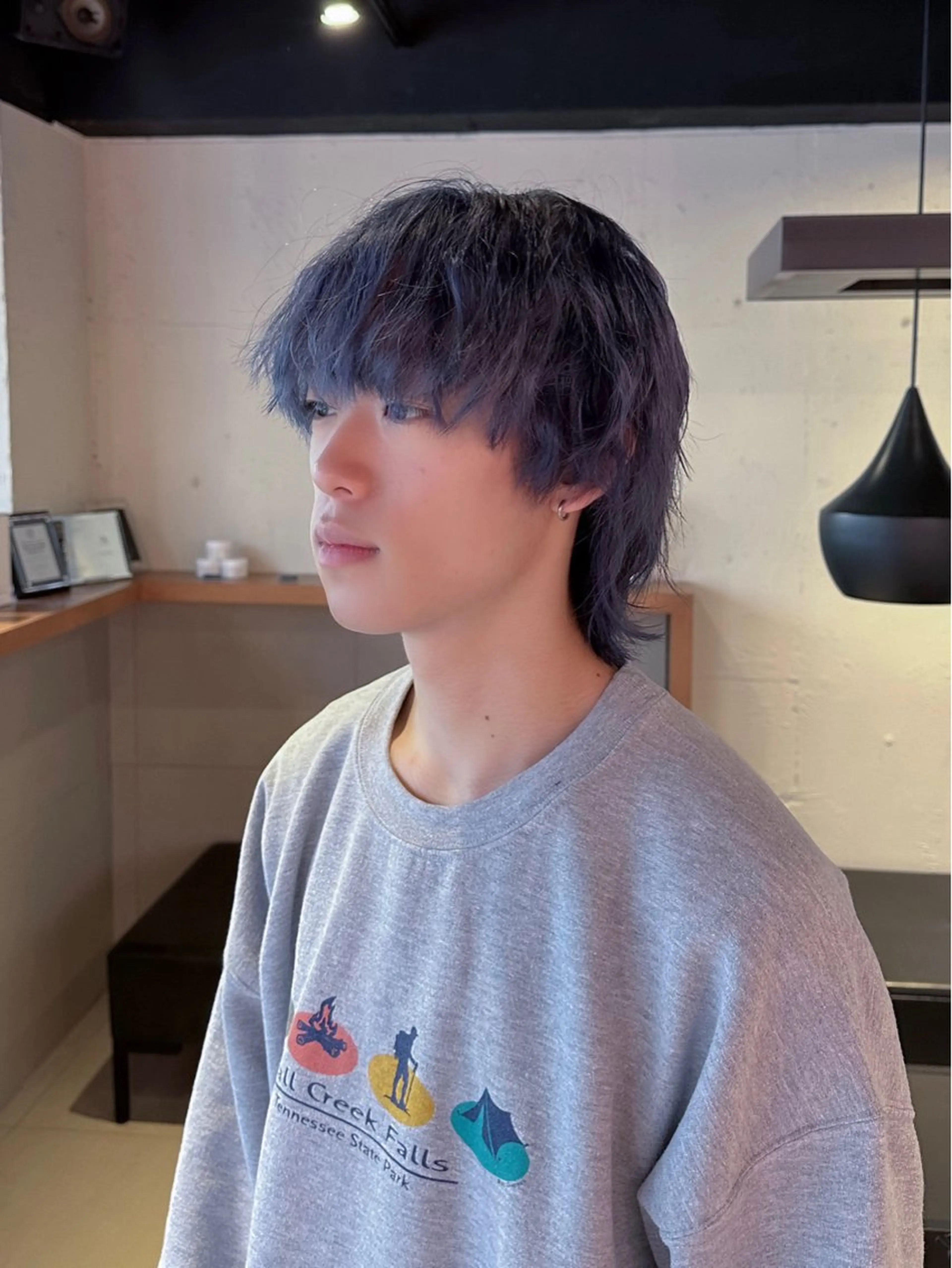 ショート カラー ブルーカラー ブルーラベンダー ラベンダーカラー ウルフカット 🐺ウルフオタク🐺 ハイトーン/moeのヘアスタイル