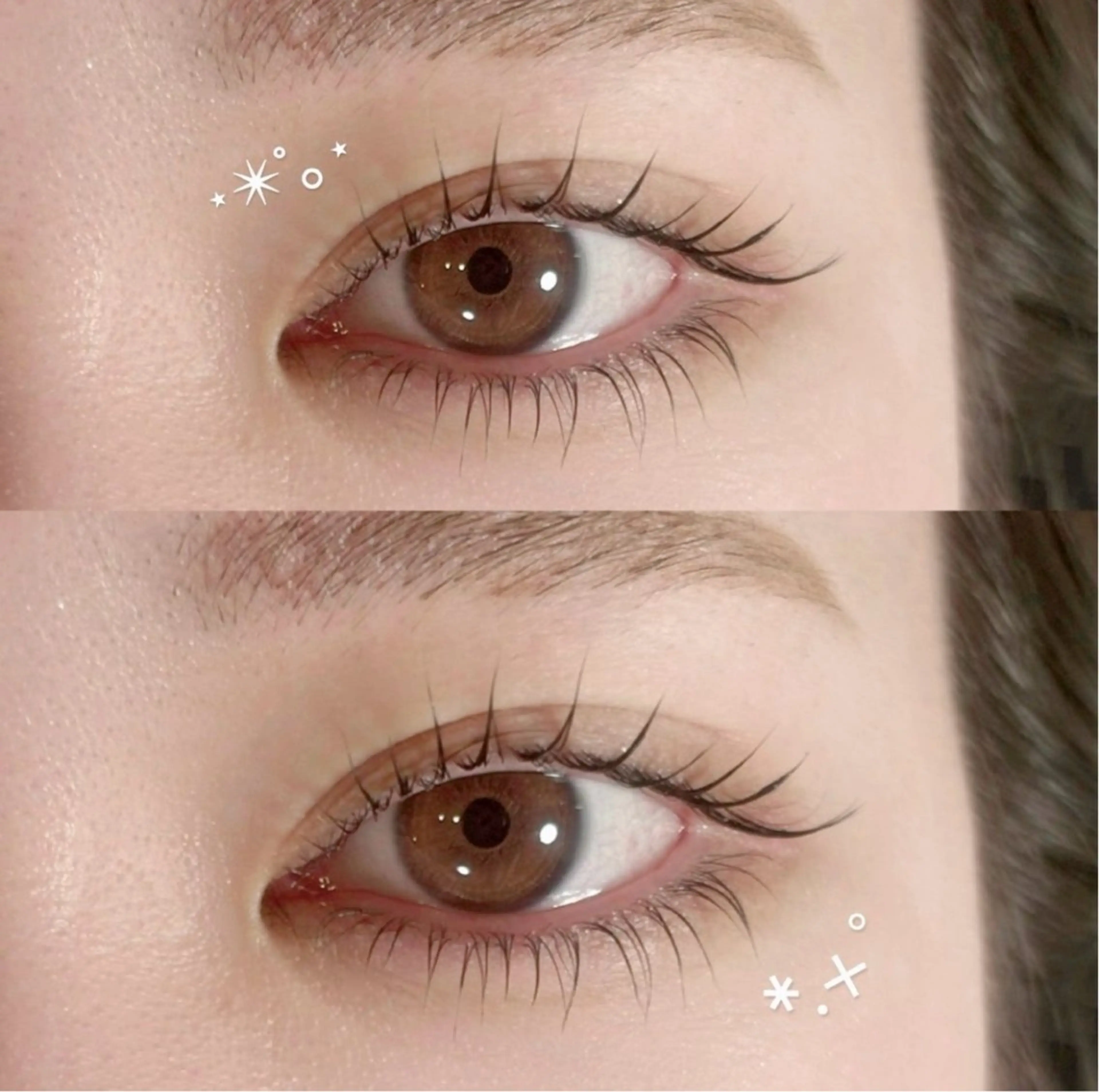 マツエク・マツパ マリーテレジア 🐨MIURAのマツエク・マツパデザイン