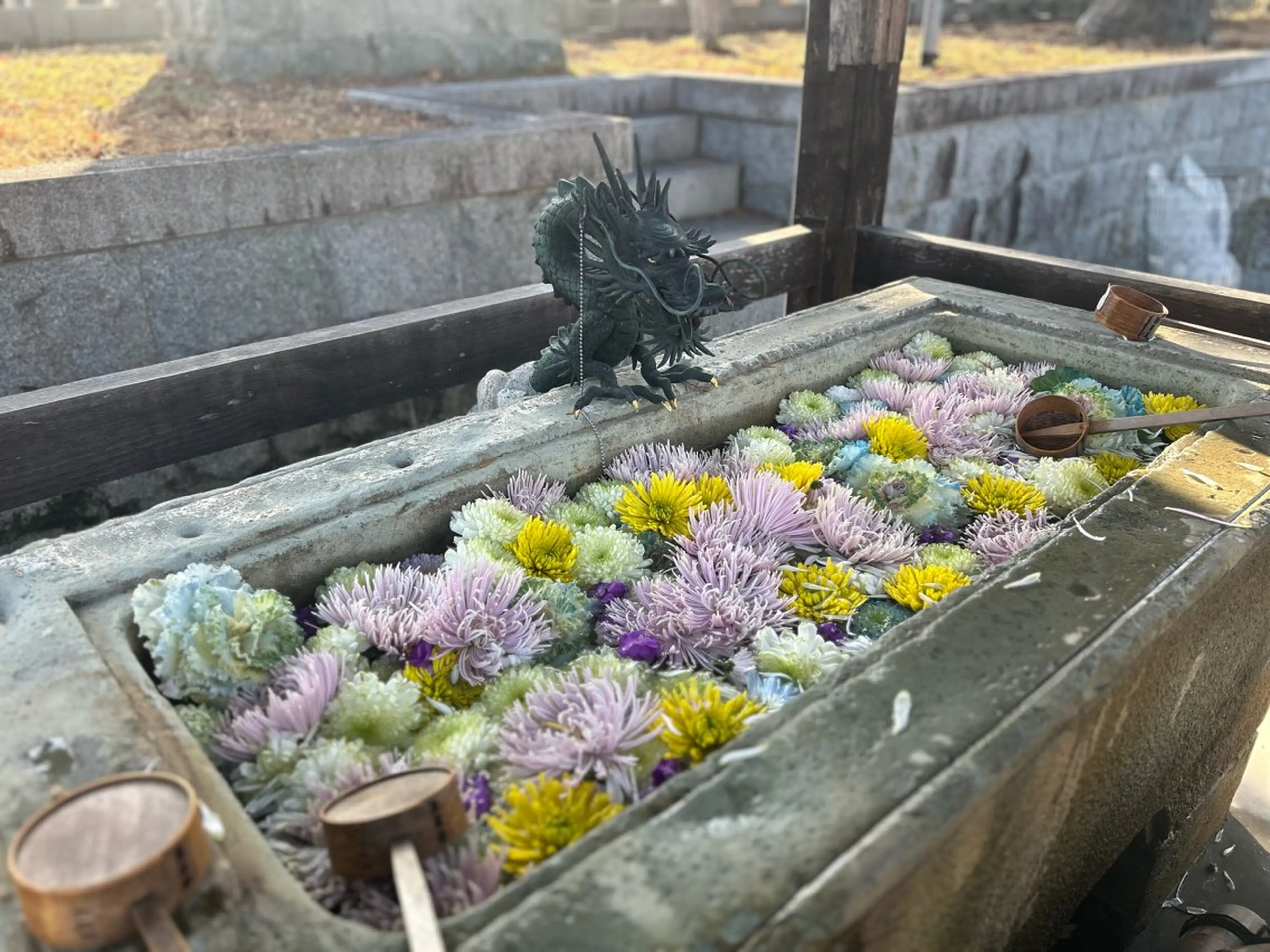 バストアップ専門 おっぱい先生いそのその他イメージ