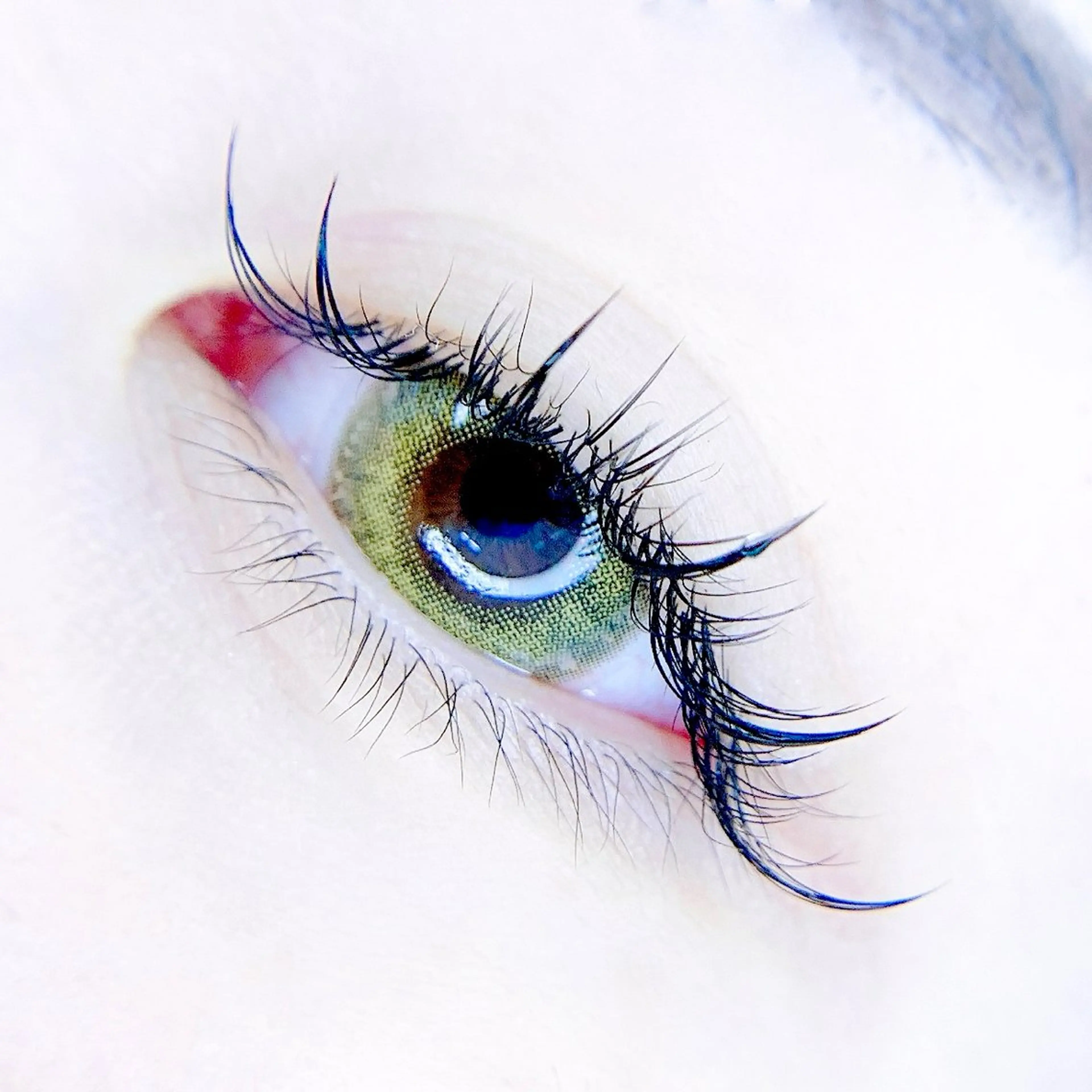 マツエク・マツパ ワンホンマツエク iolo nakajimaのマツエク・マツパデザイン