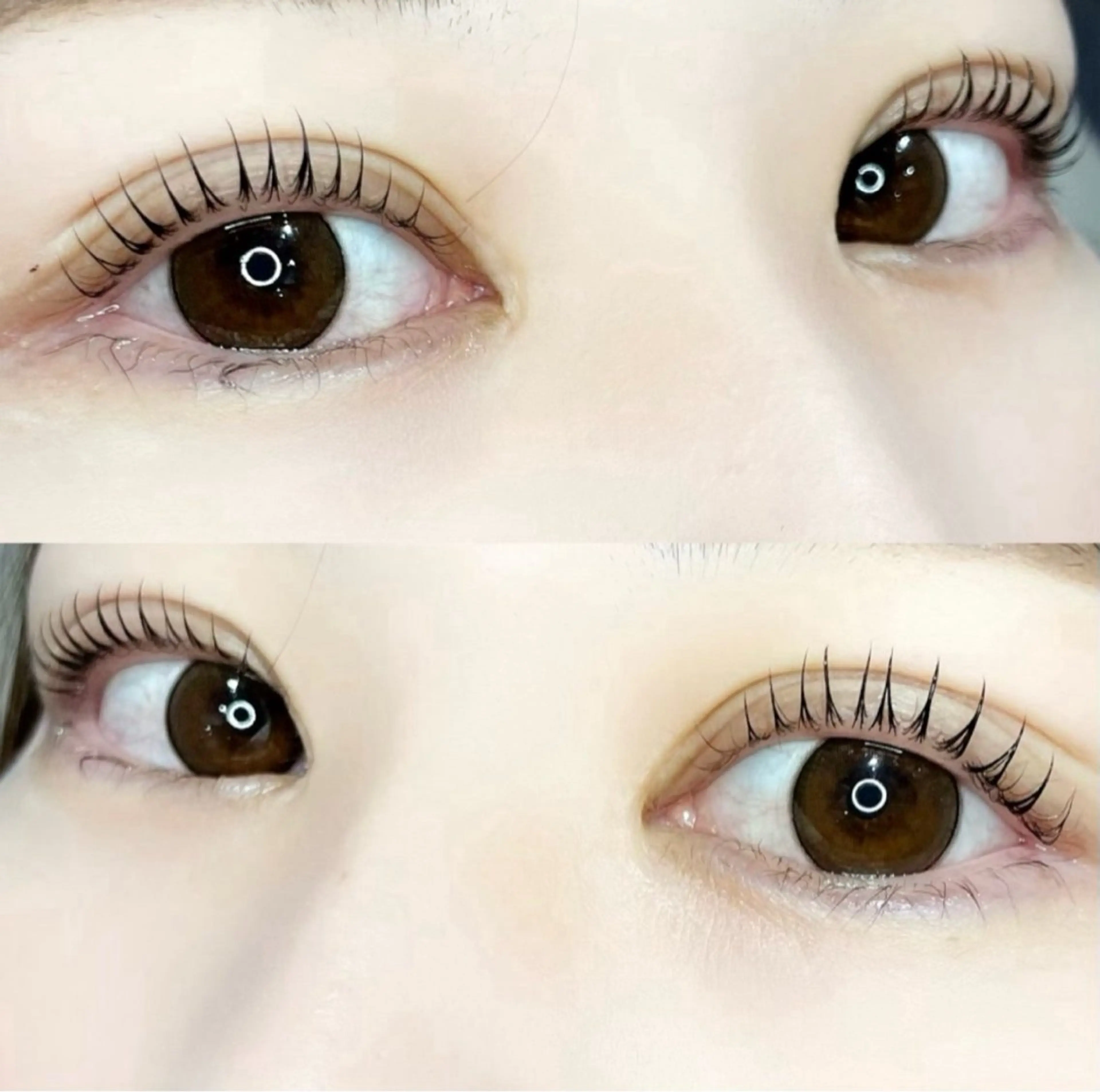 マツエク・マツパ 🦖fein. YUINA🦕⋆͛のマツエク・マツパデザイン