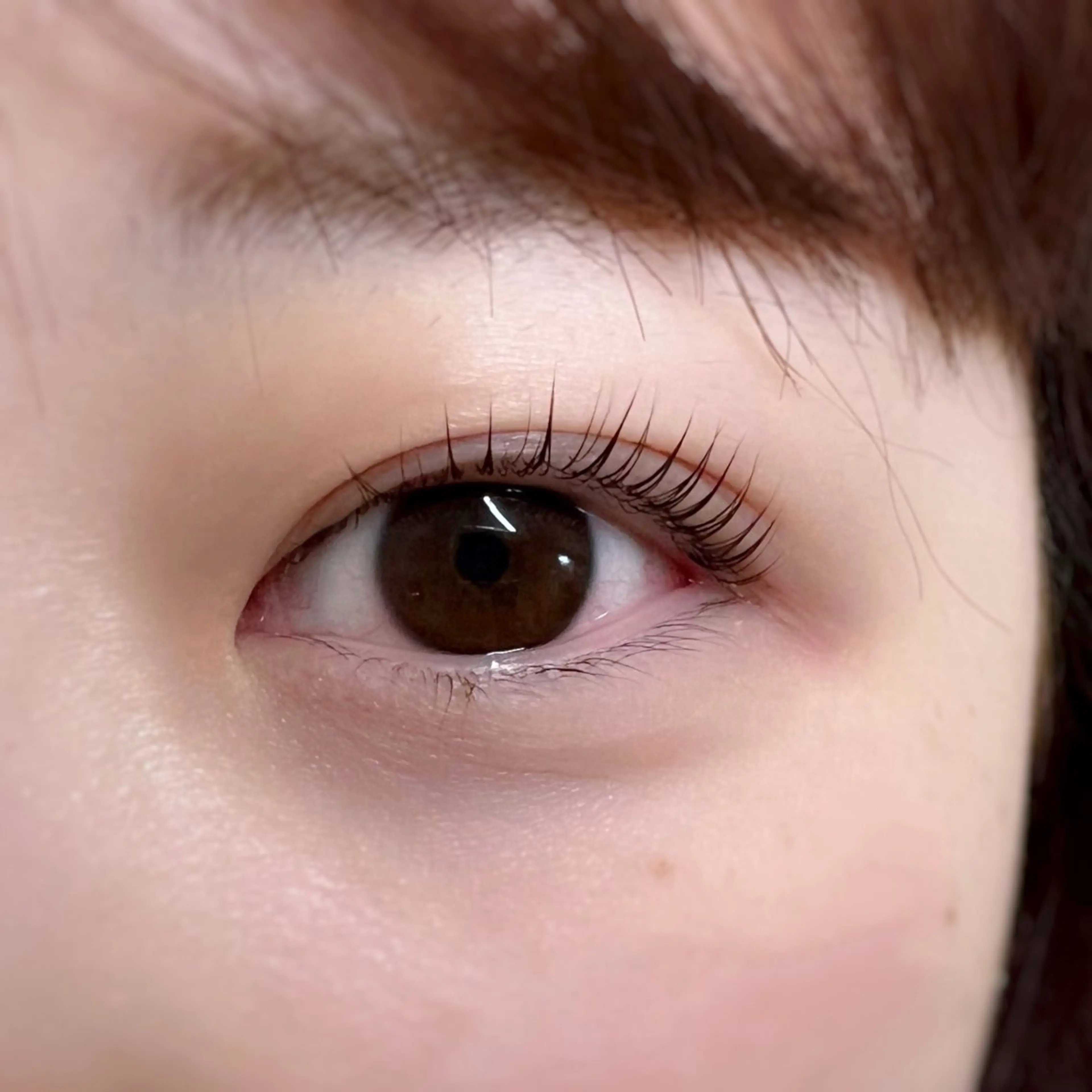 マツエク・マツパ kaho / u.のマツエク・マツパデザイン