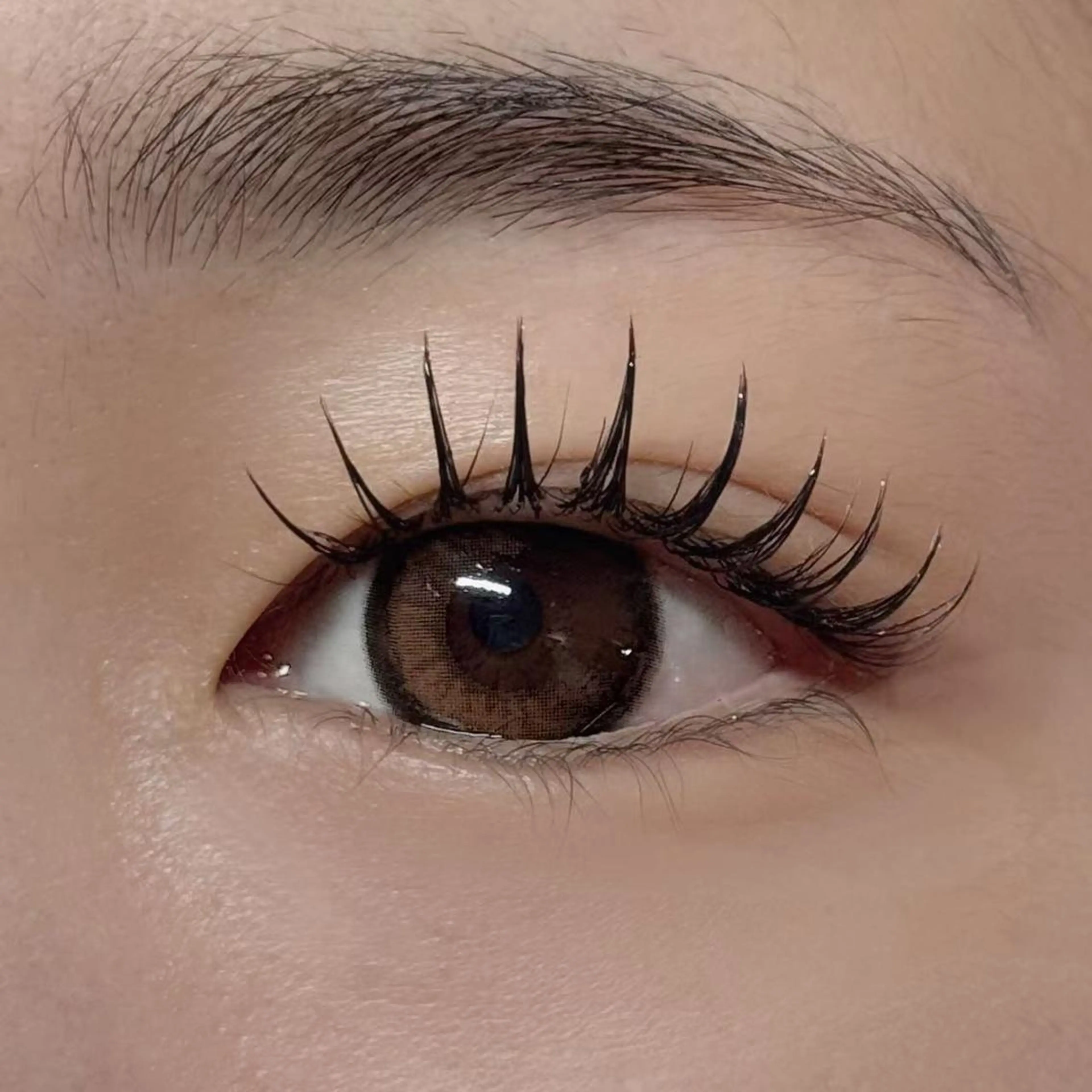 マツエク・マツパ マツエク foisalon 新宿西口店のマツエク・マツパデザイン