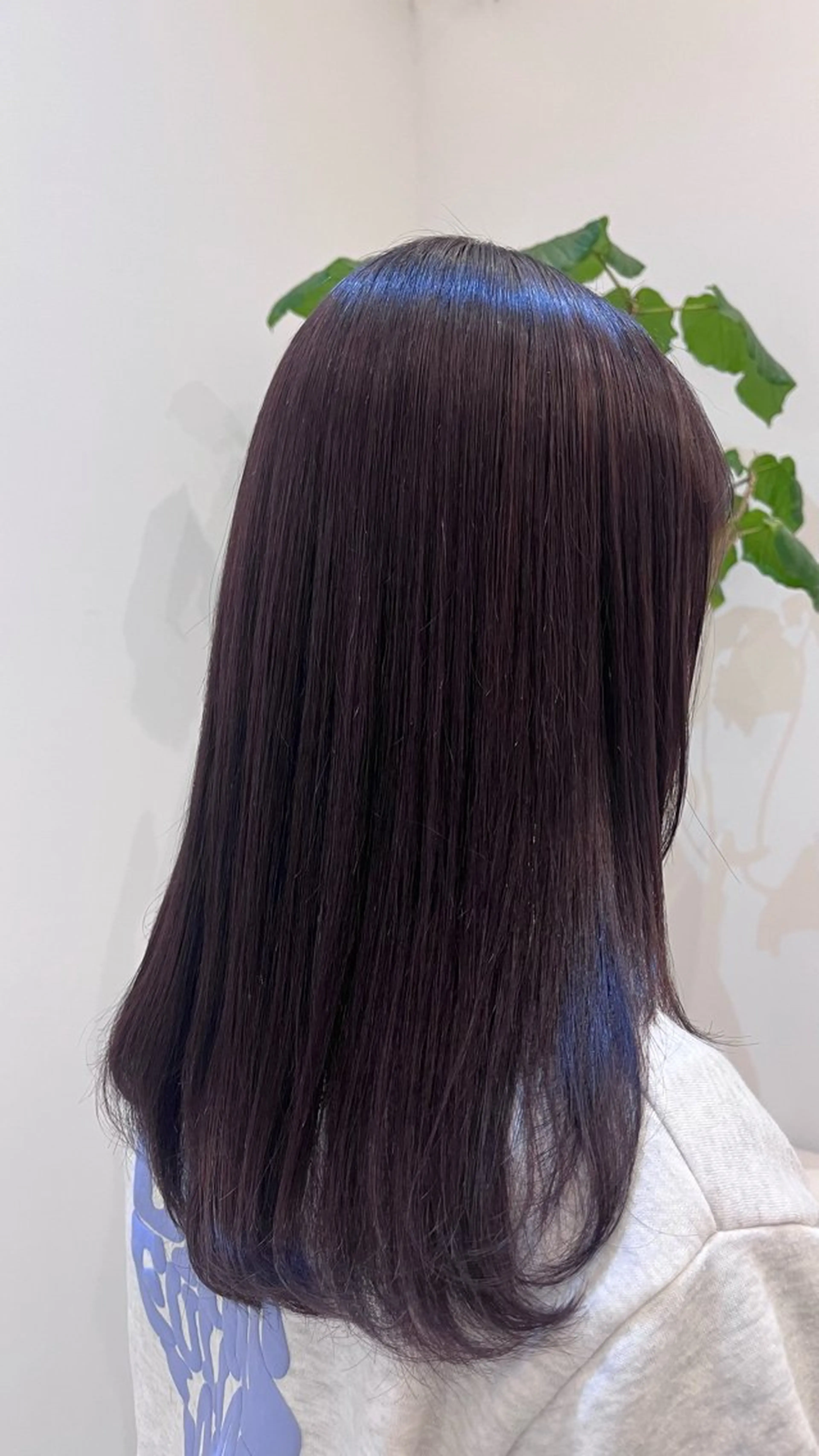 セミロング カット ヘアカラー カンノ シュンのヘアスタイル