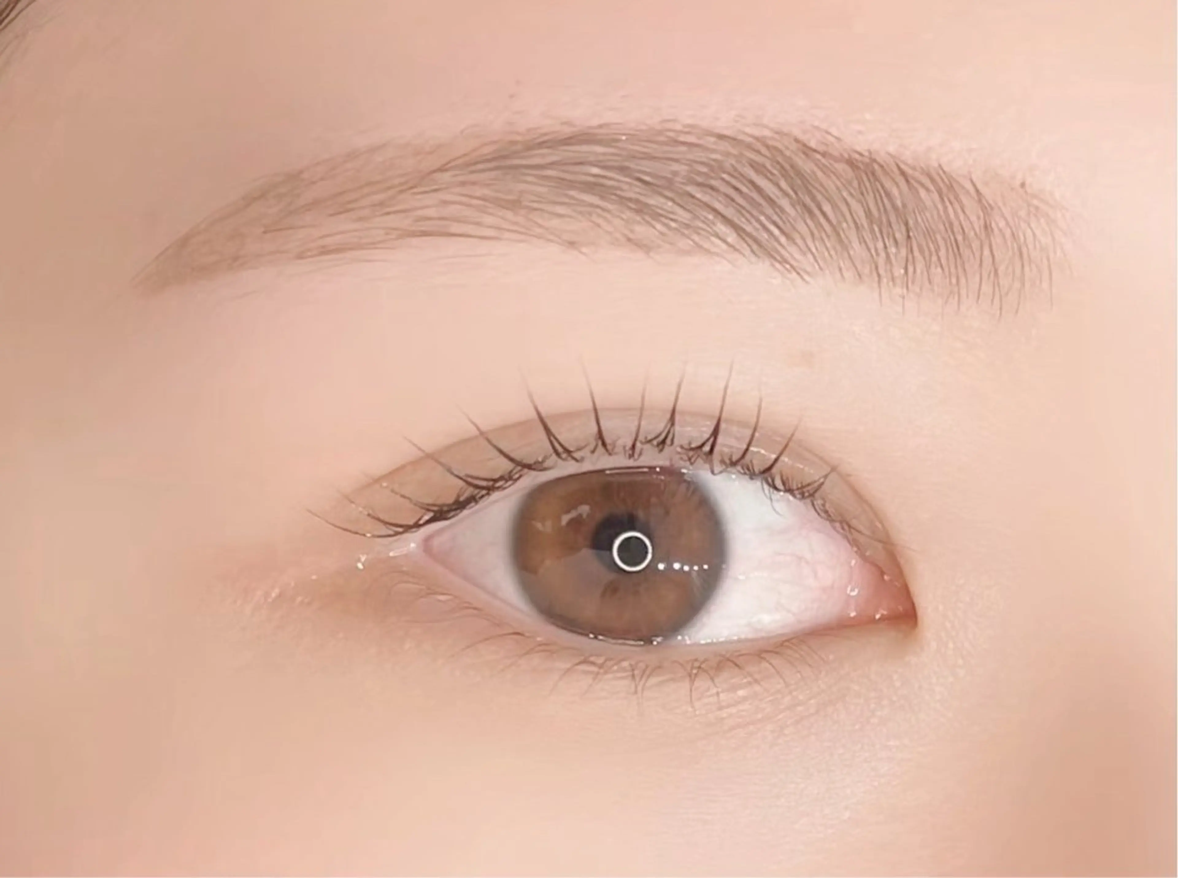 アイブロウ ハリウッドブロウリフト mizuki/束感 まつエク/似合わせ眉のマツエク・マツパデザイン