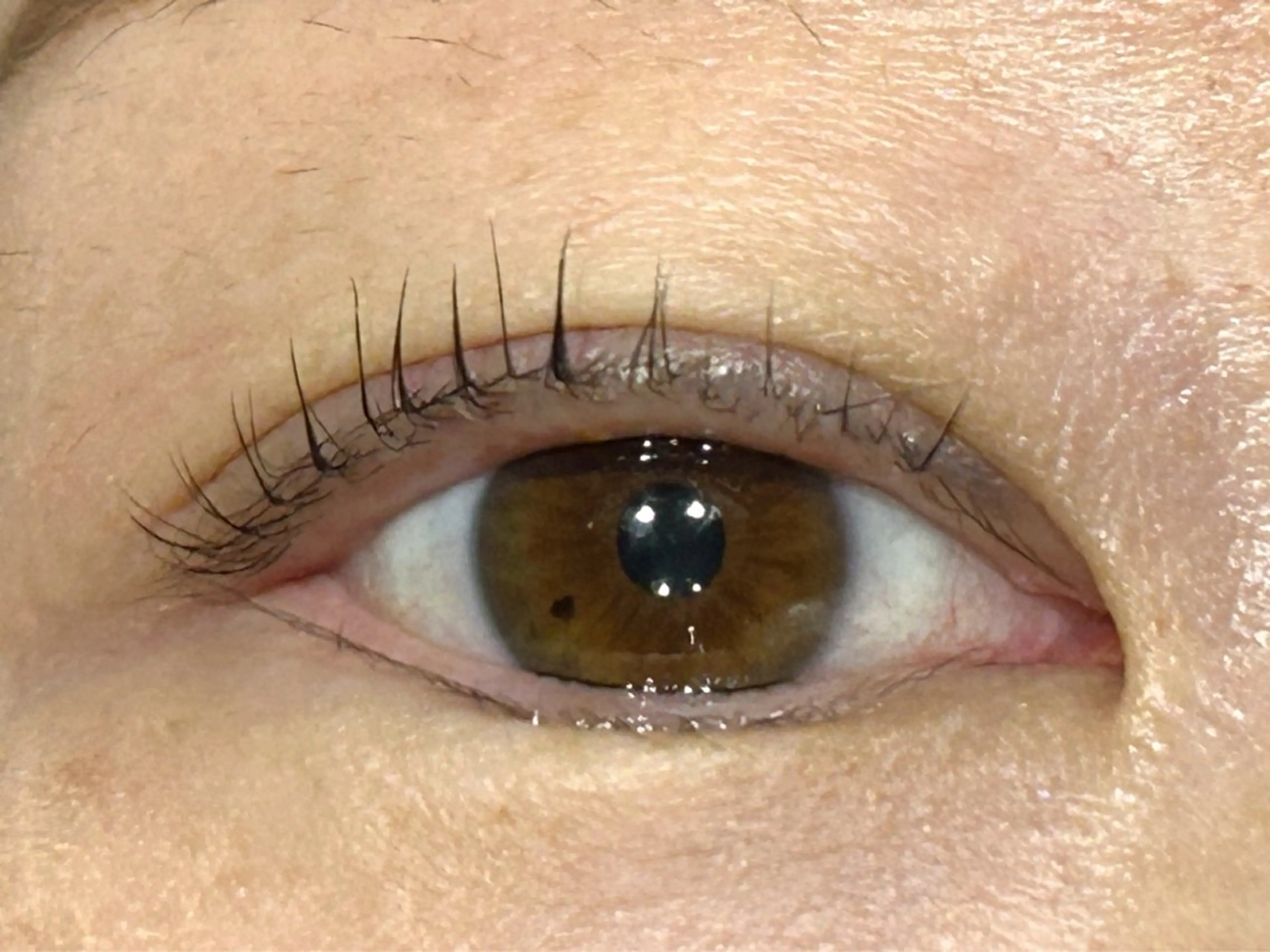 マツエク・マツパ Lカール 一重×まつ毛パーマ ⛄️さいとう ななみ⛄️のヘアスタイル