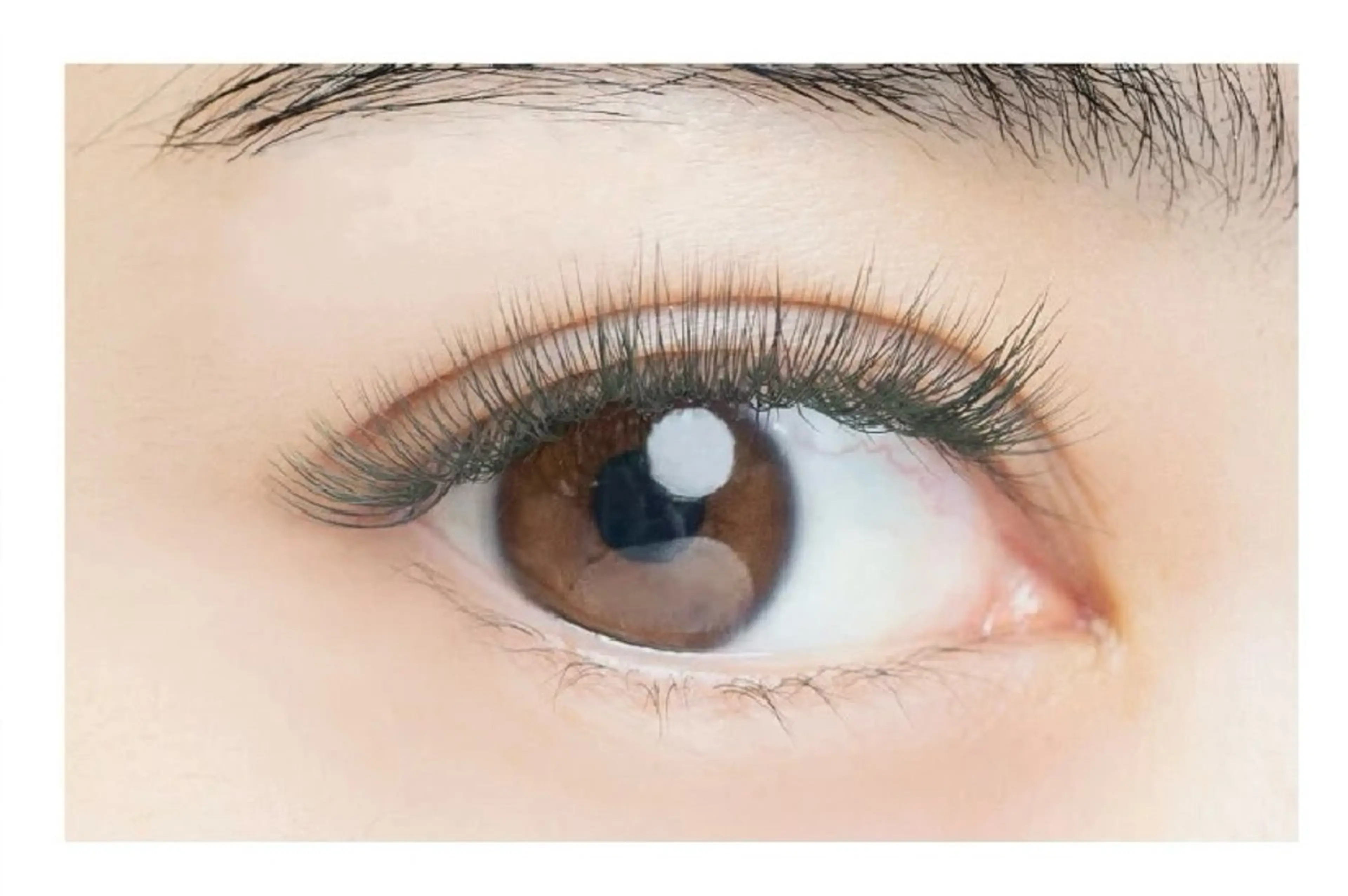 ▪️カラーボリュームラッシュ120束(オフなし)の写真