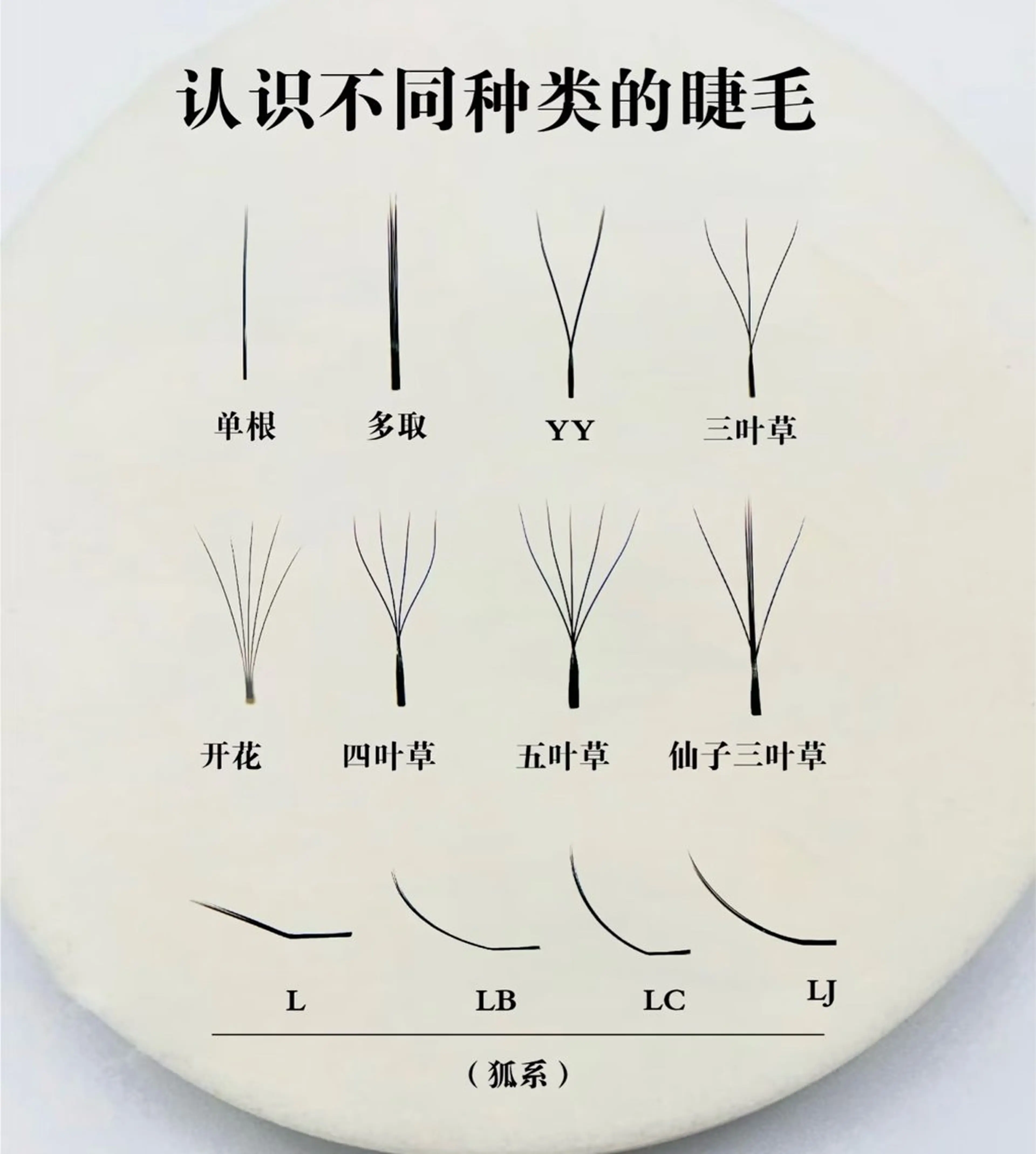 マツエク・マツパ Y.Beauty ユキのマツエク・マツパデザイン