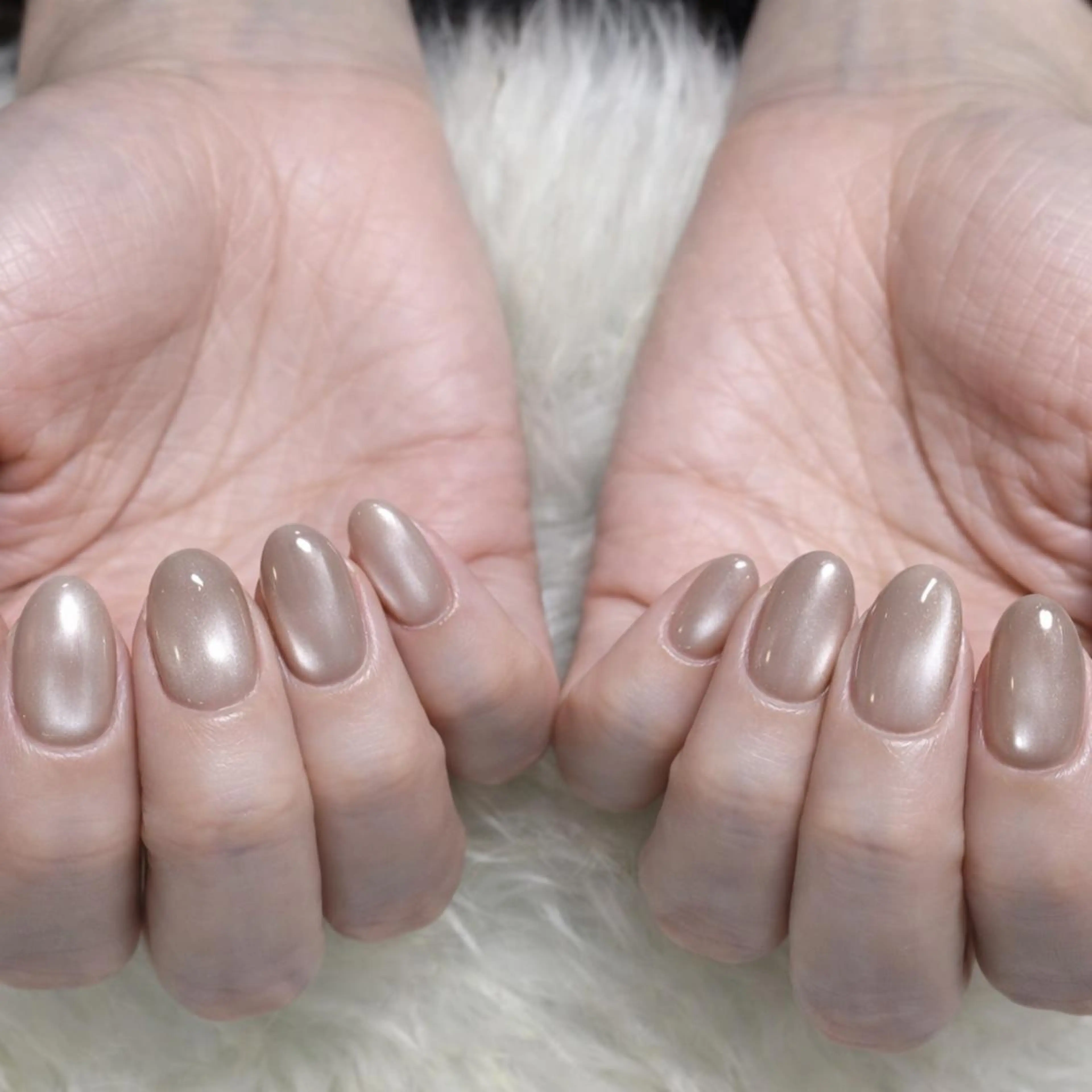 ネイル マグネットネイル マグネットワンカラー ワンカラーネイル ハンドネイル Miku. Nのネイルデザイン