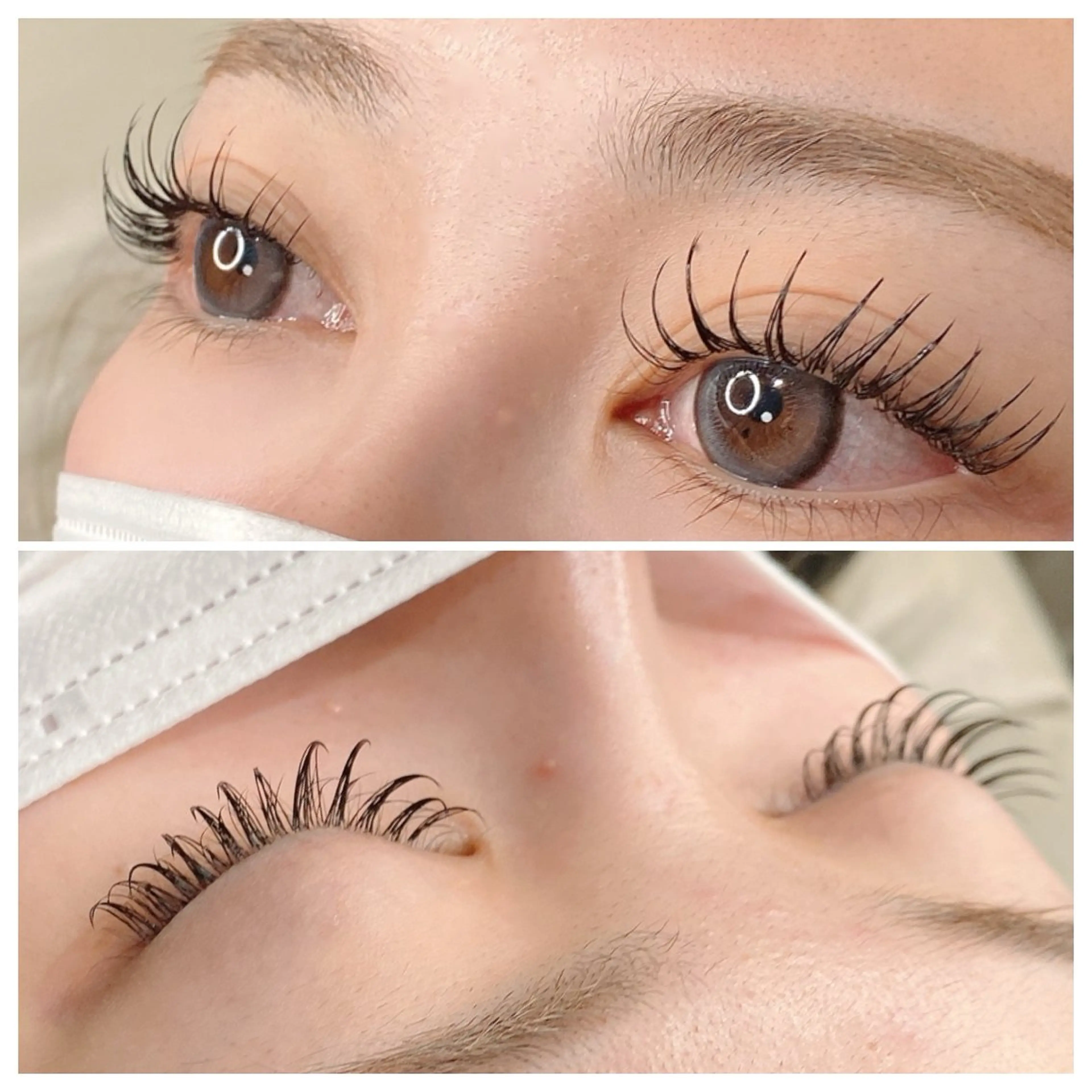 【ミニモ特別価格🌼】初回オフ無料✨フラットラッシュ 無制限付け放題/7920円🌈の写真