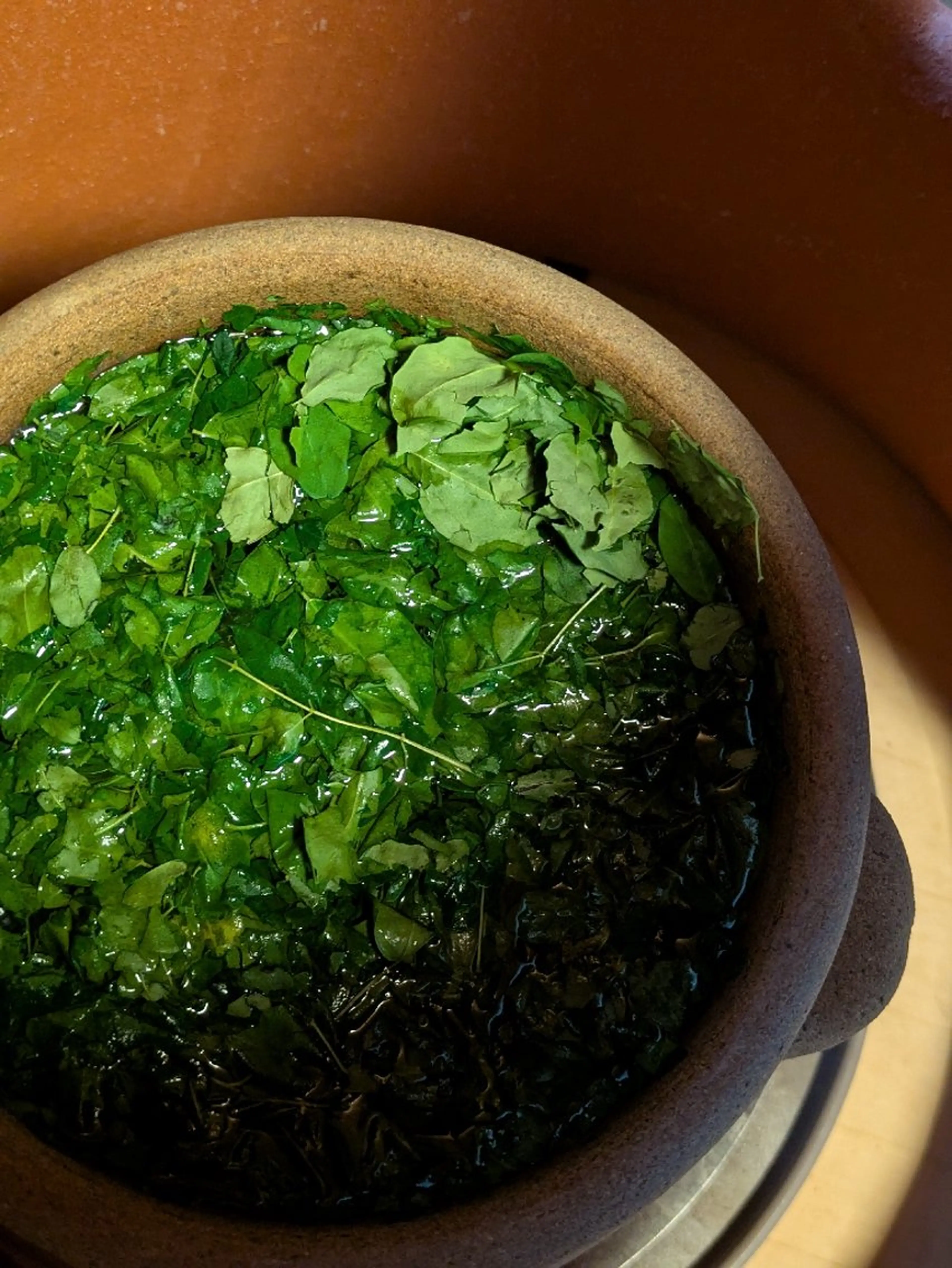 黄土モリンガ蒸し40分　ダイエットならモリンガ！沖縄のモリンガ葉100%を使用の写真