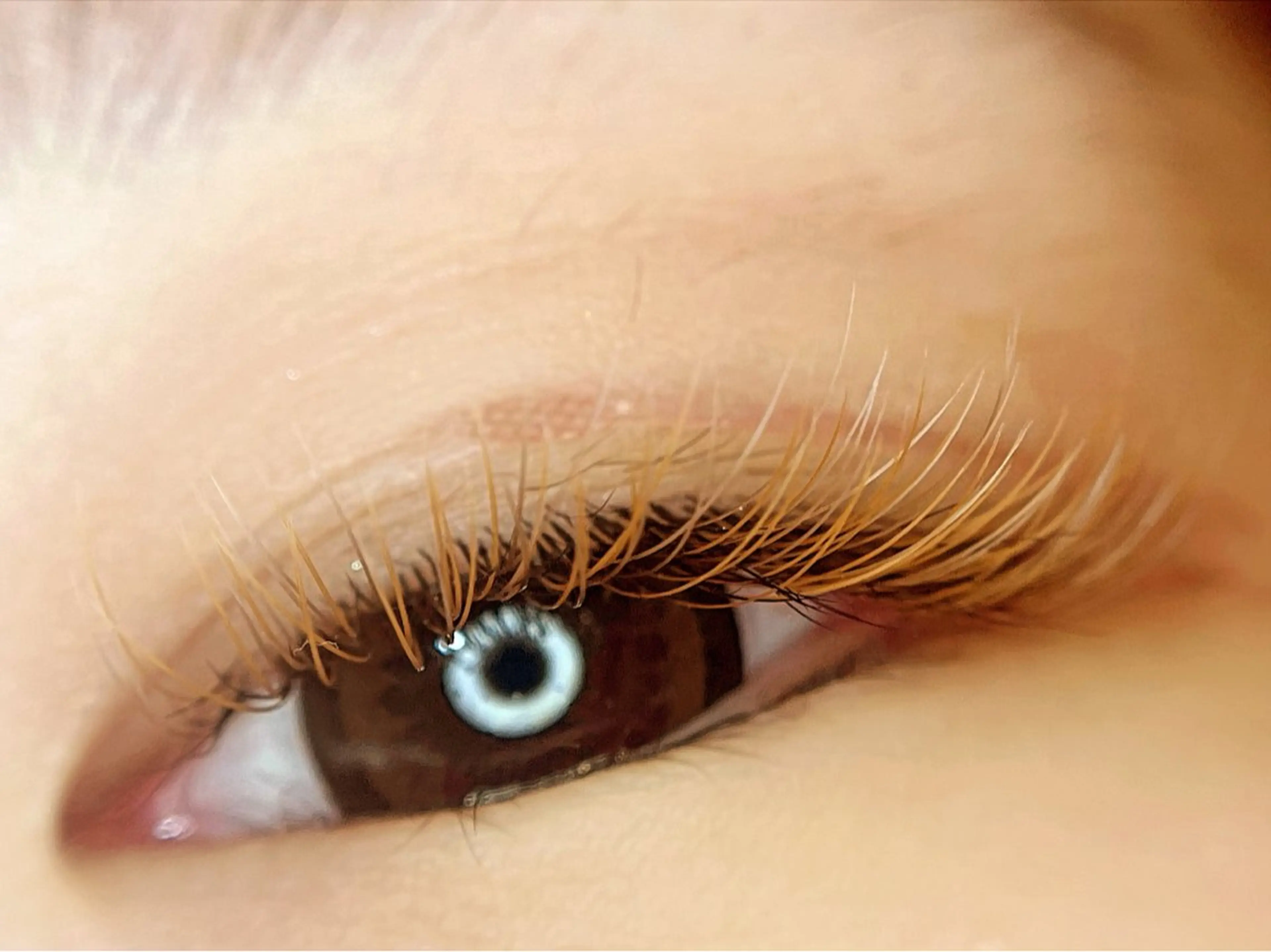 マツエク・マツパ マツエク 木島 安衣のマツエク・マツパデザイン