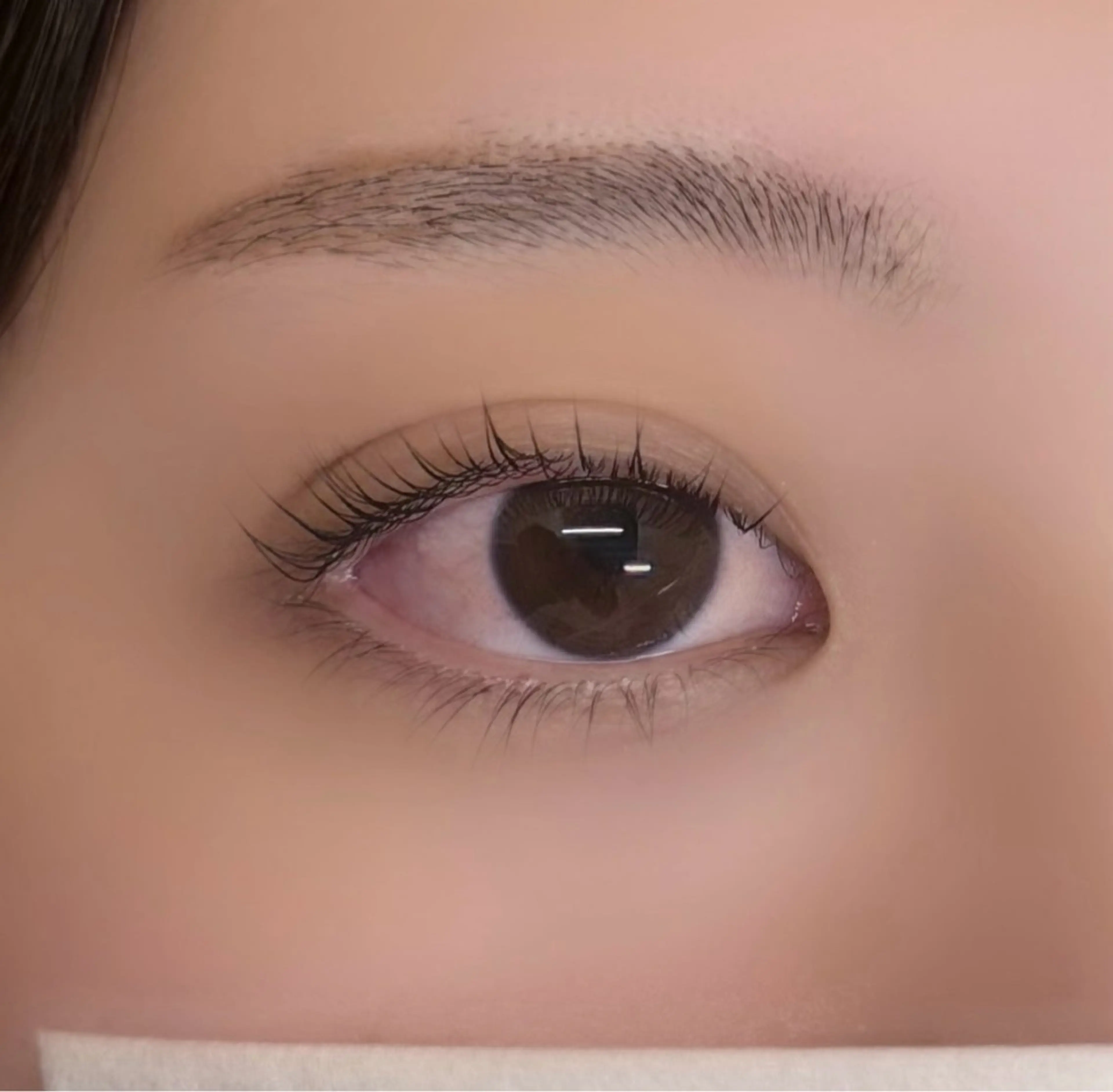 【⚠️当日のご予約限定】💝まつげパーマ➕眉WAX💝の写真