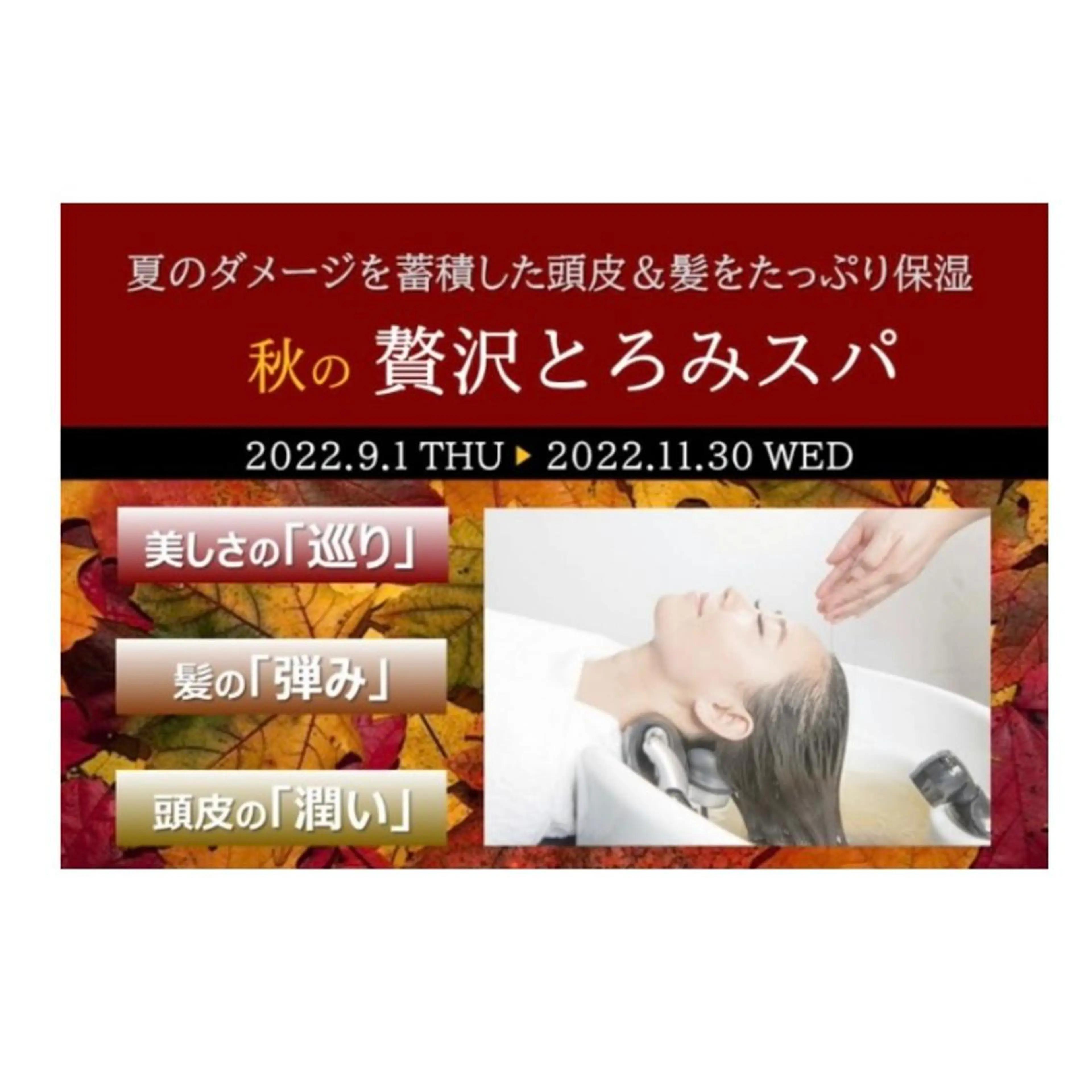 ⭐️似合わせアップ ⭐️並木奏絵のヘアスタイル