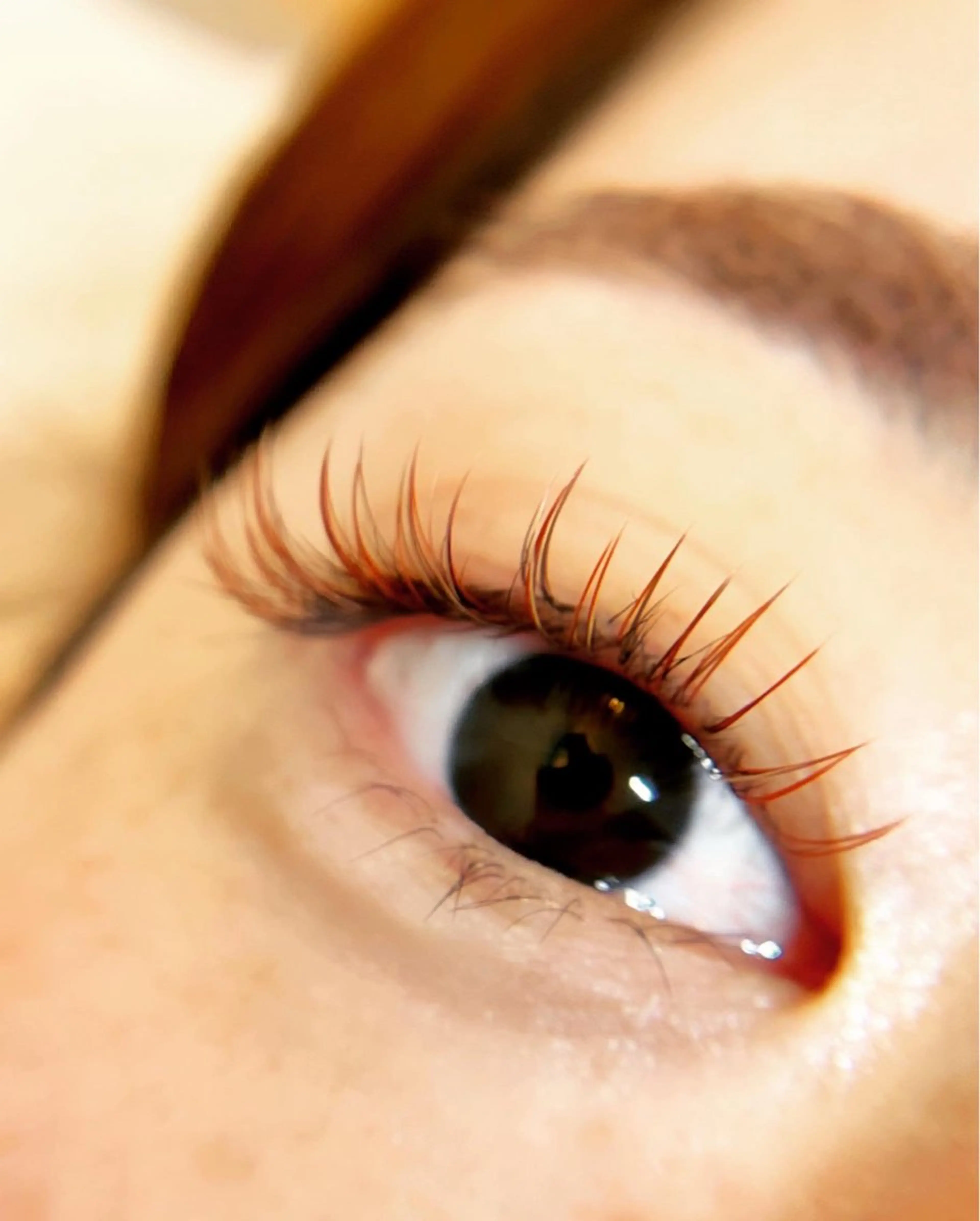 マツエク・マツパ 本町/北浜/淀屋橋 peTiT堀口のマツエク・マツパデザイン