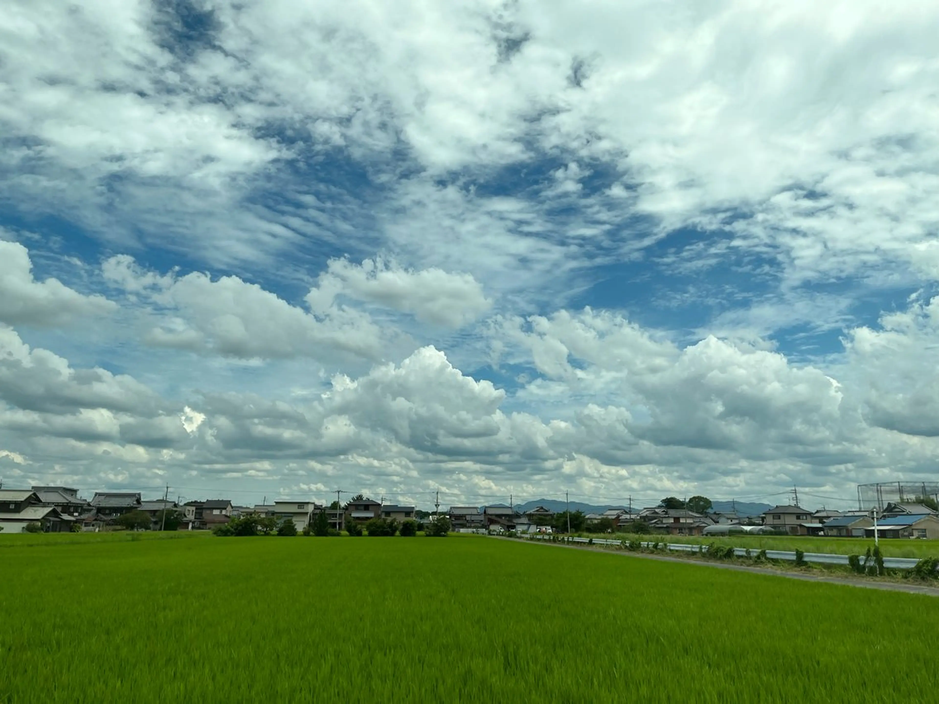 紙屋 隼人のヘアスタイル