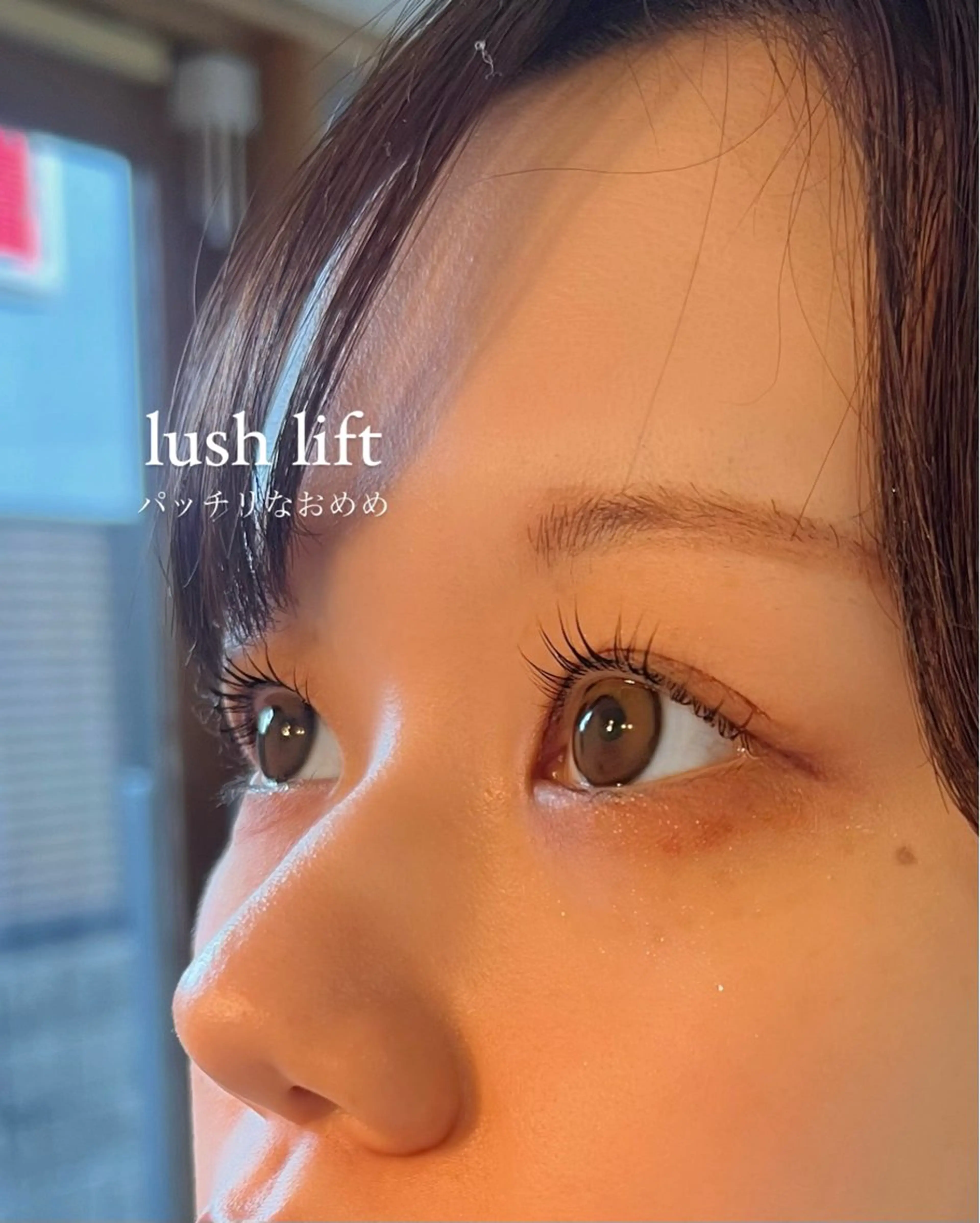 マツエク・マツパ 垢抜け眉WAX専門 ちゅるんまつげ|鎌倉の眉毛・アイブロウイメージ