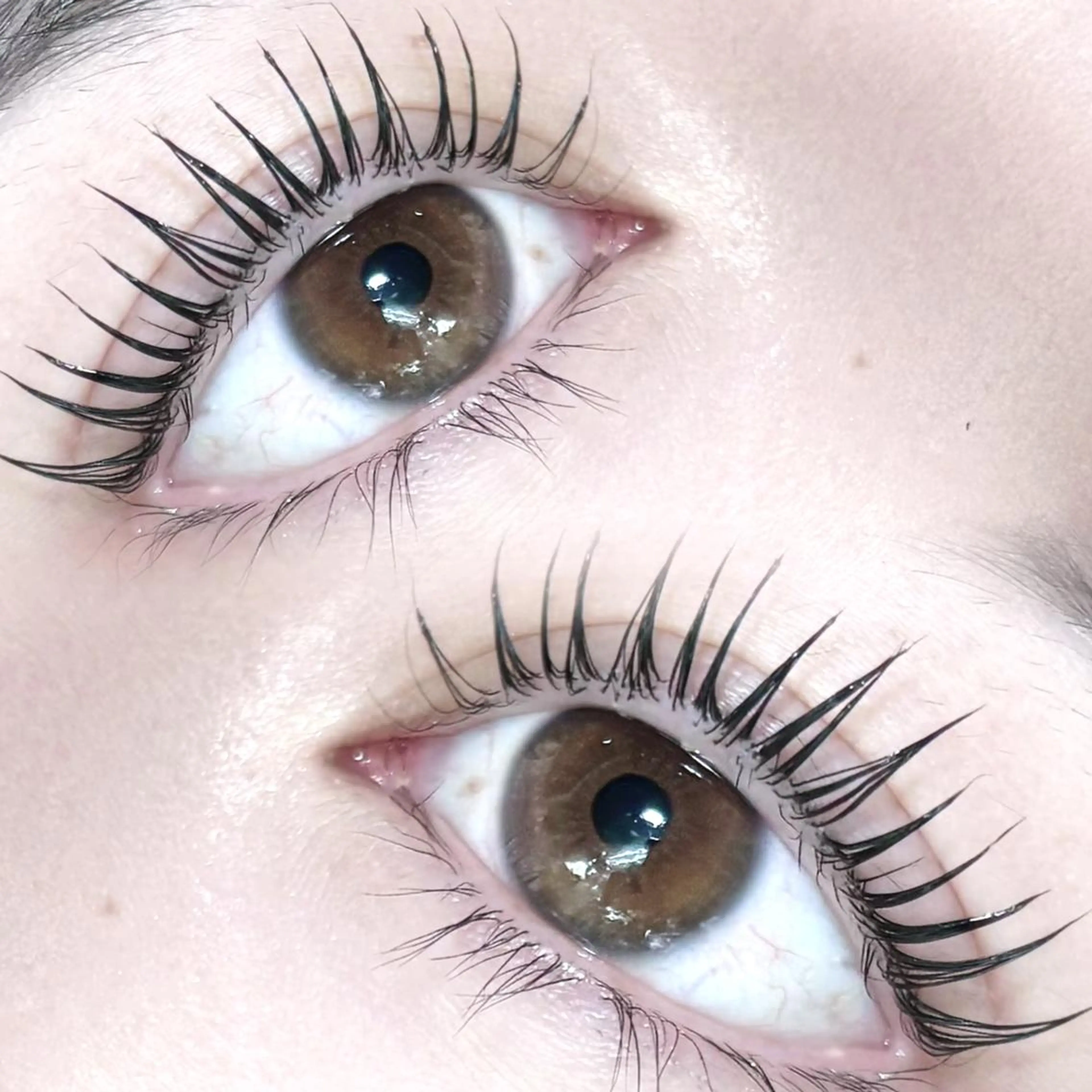 【✨✨期間限定🏩🎀】パリジェンヌラッシュリフト ✨コーティング付き ※エクオフ不可 土日+500円の写真