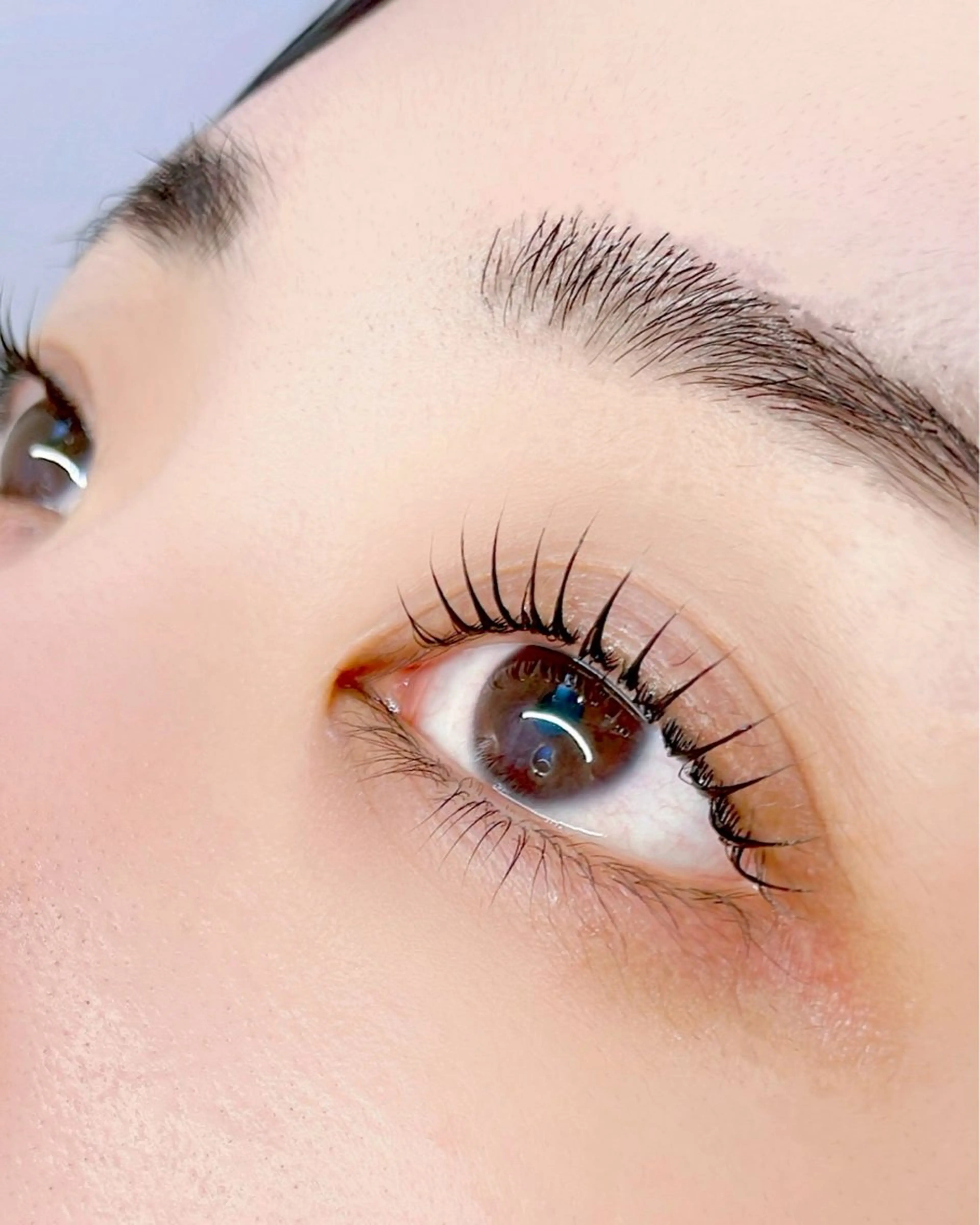 マツエク・マツパ マツパ コルフロウ アイモデル募集中の眉毛・アイブロウイメージ