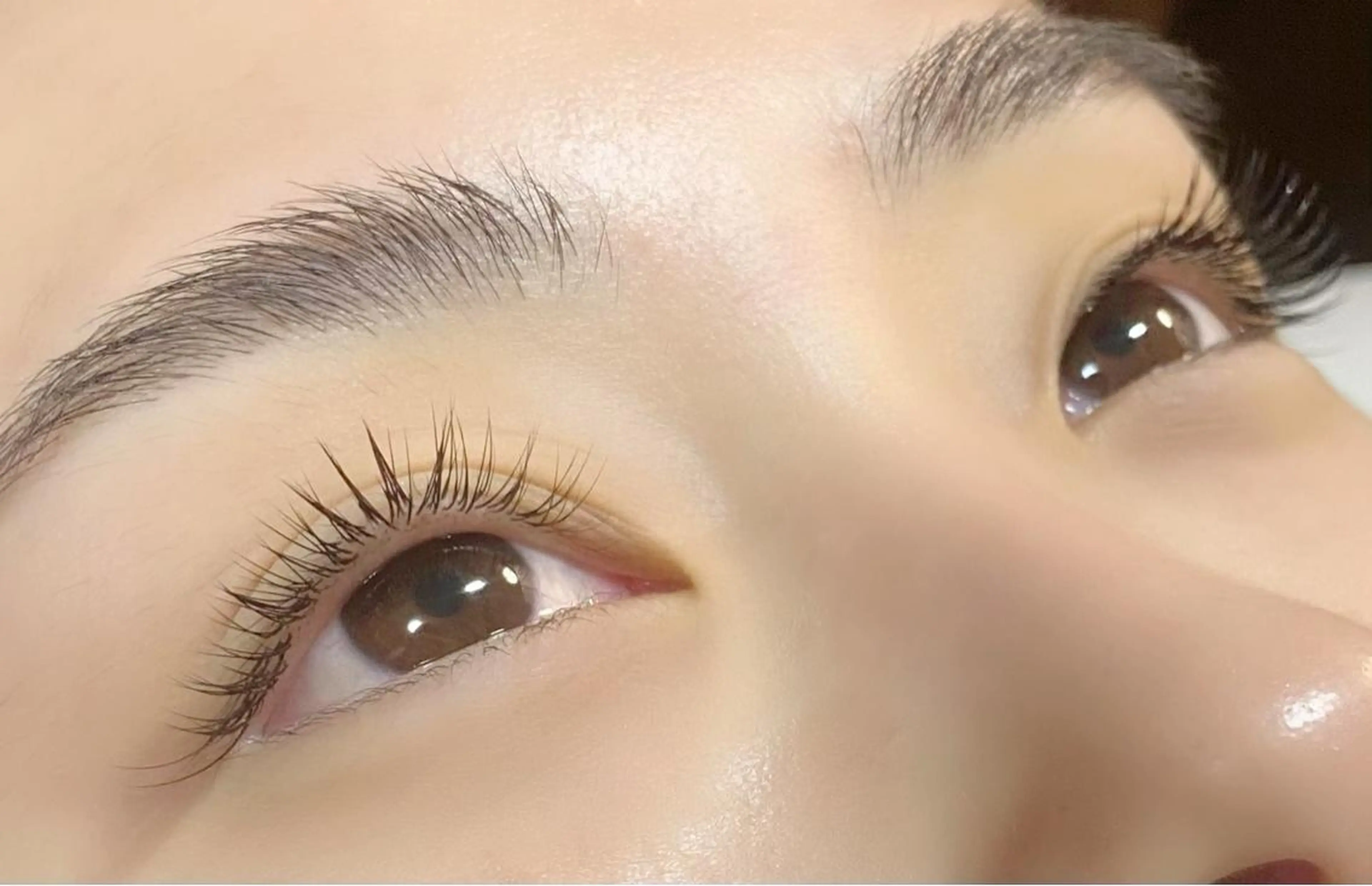 [フラットラッシュ]   80本の写真