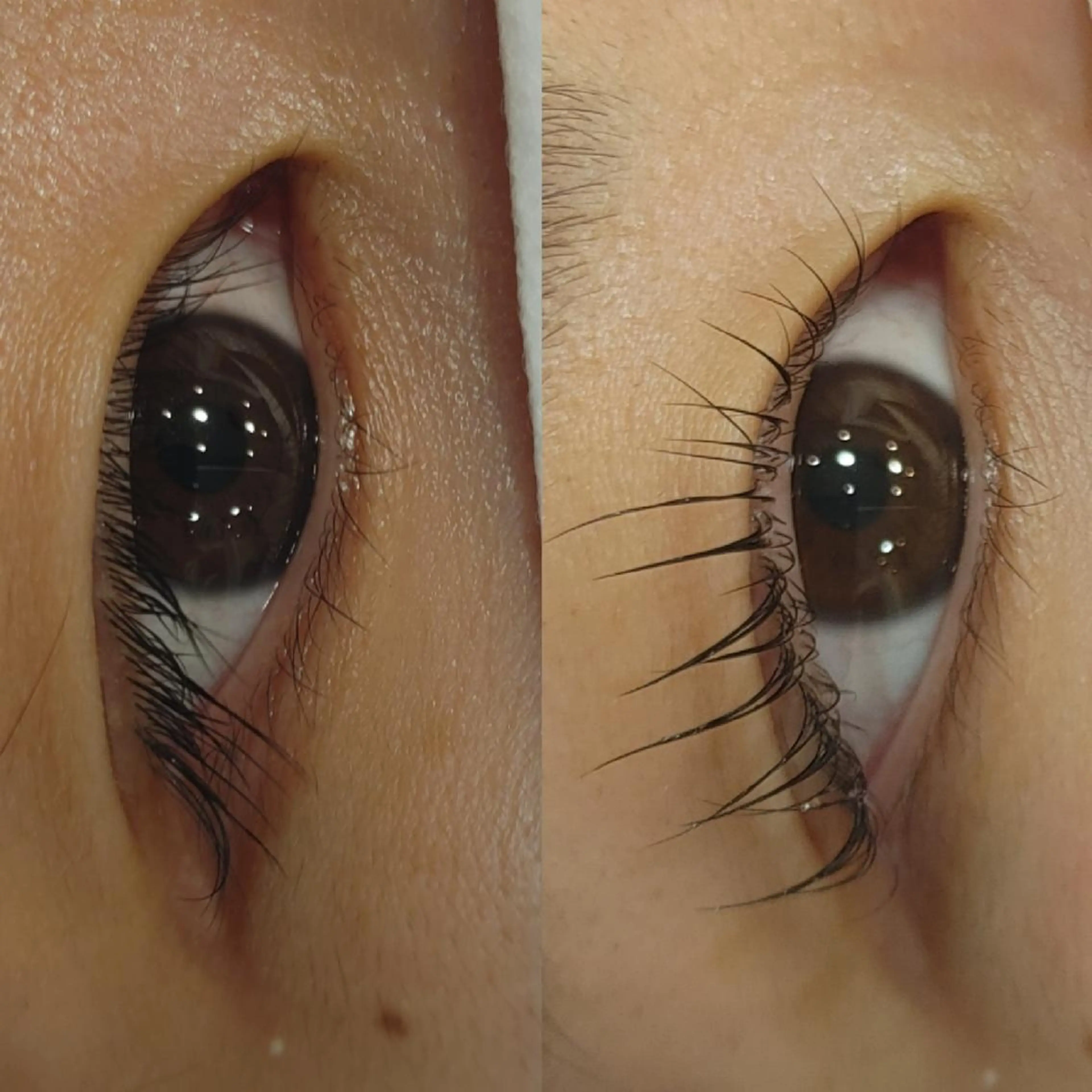 マツエク・マツパ ブランシェ勝川南口店 石原 あゆみのマツエク・マツパデザイン