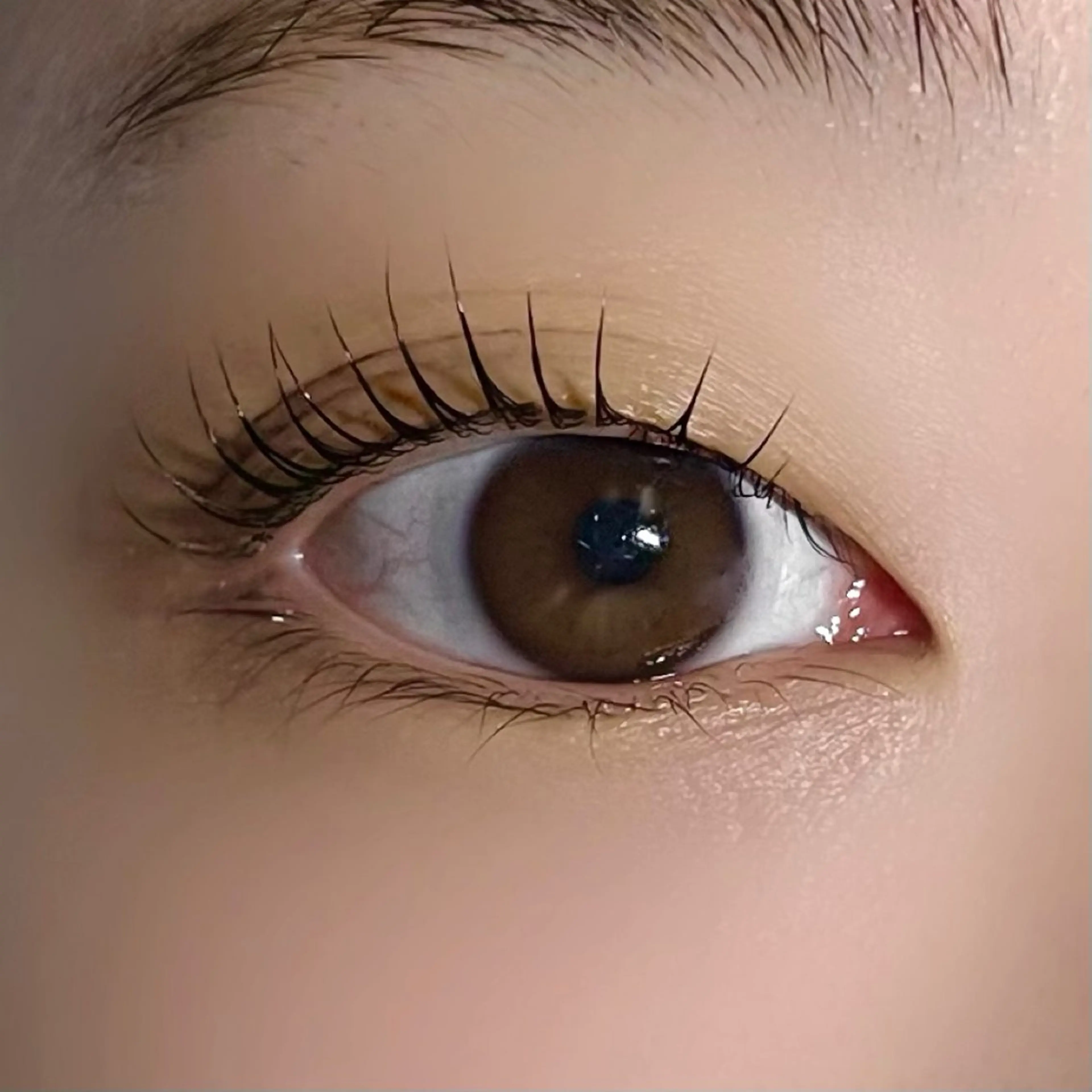 マツエク・マツパ 垢抜け眉WAX専門 ちゅるんまつげ|鎌倉の眉毛・アイブロウイメージ