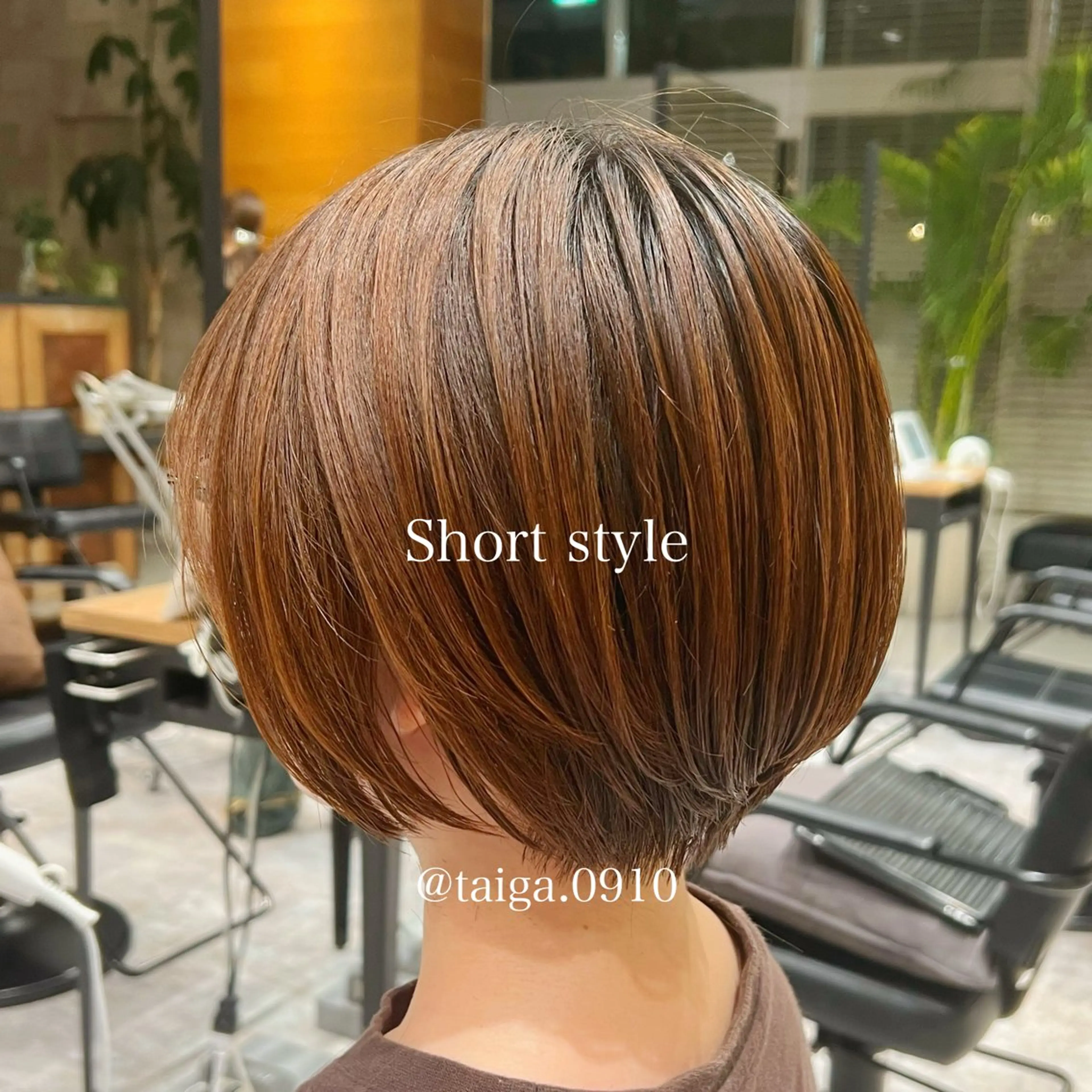 ショート レディースヘア💫 加藤たいが🐯のヘアスタイル