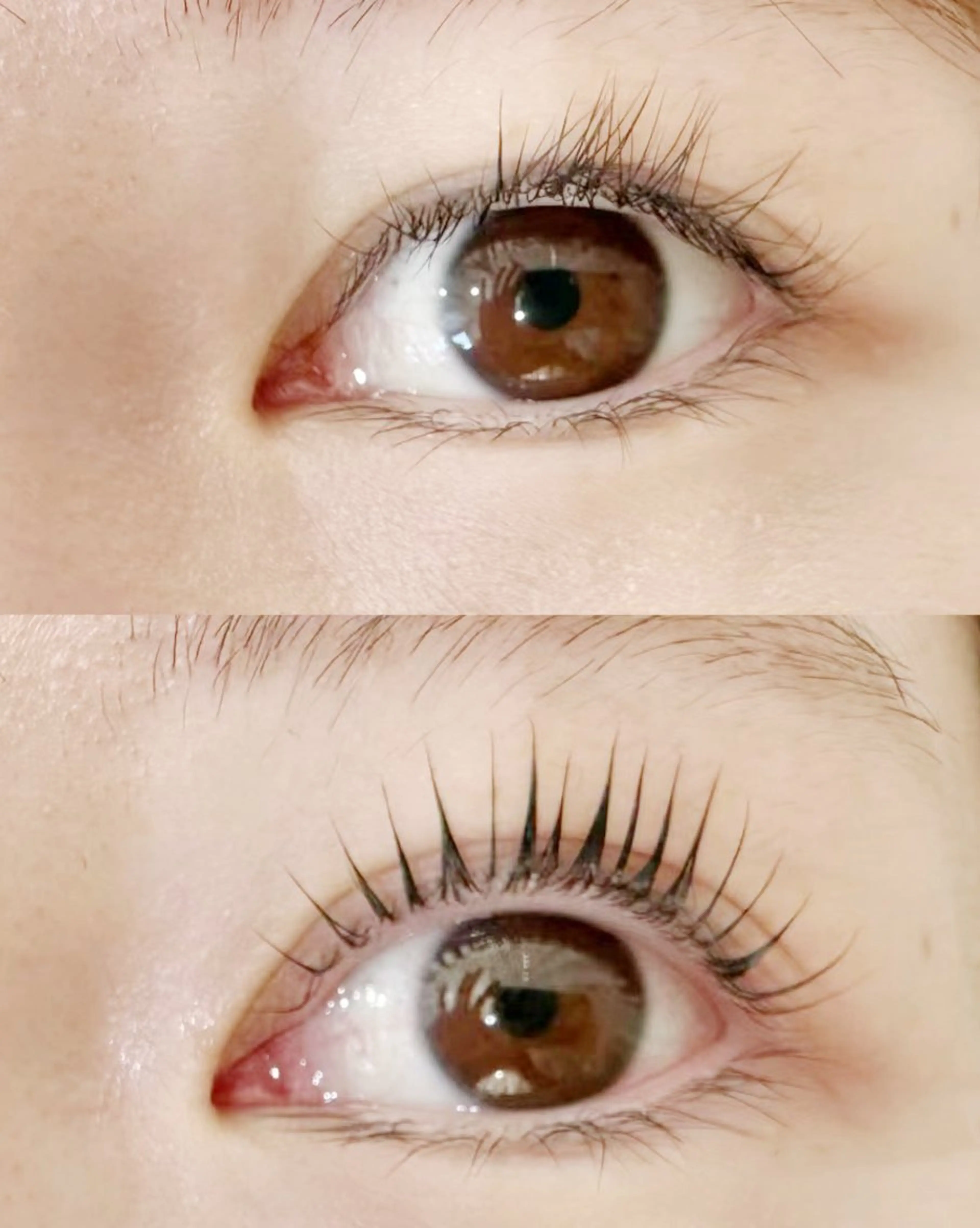 マツエク・マツパ BBC ビービーシーのマツエク・マツパデザイン