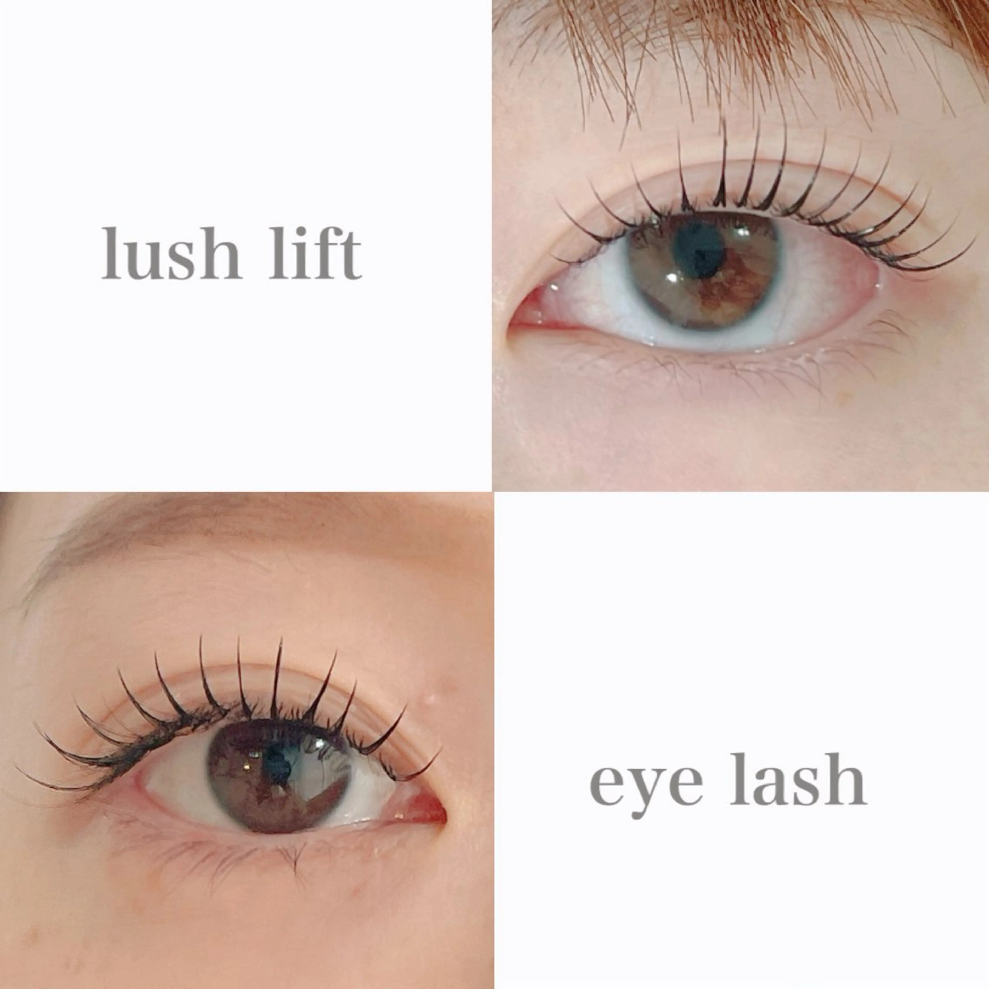 マツエク・マツパ マツパ T Meguのマツエク・マツパデザイン