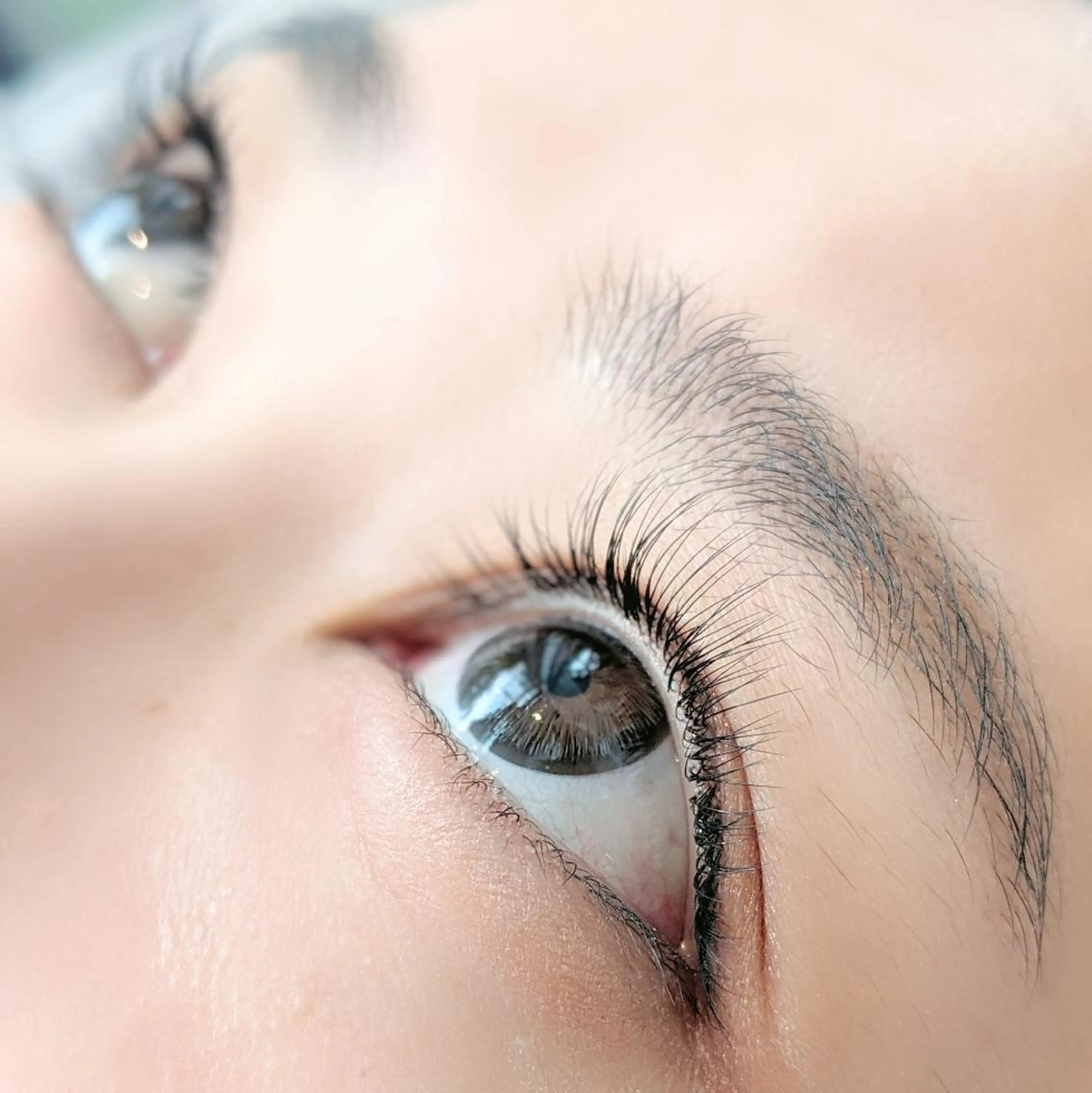 【ミニモ限定】アップワードラッシュ+フラットラッシュ付け放題の写真