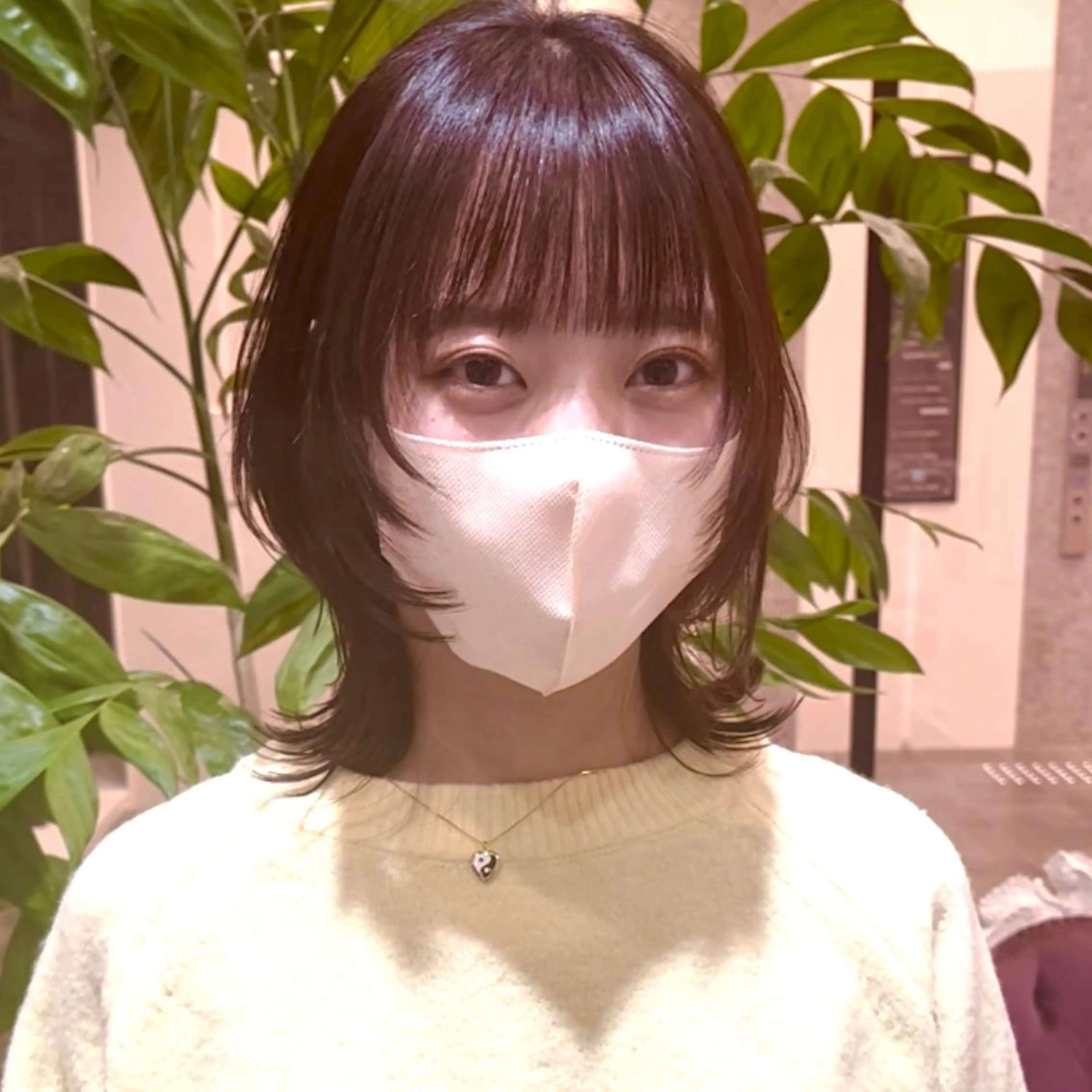 ミディアム 大阪ウルフカット 🐺デザインカラーのヘアスタイル