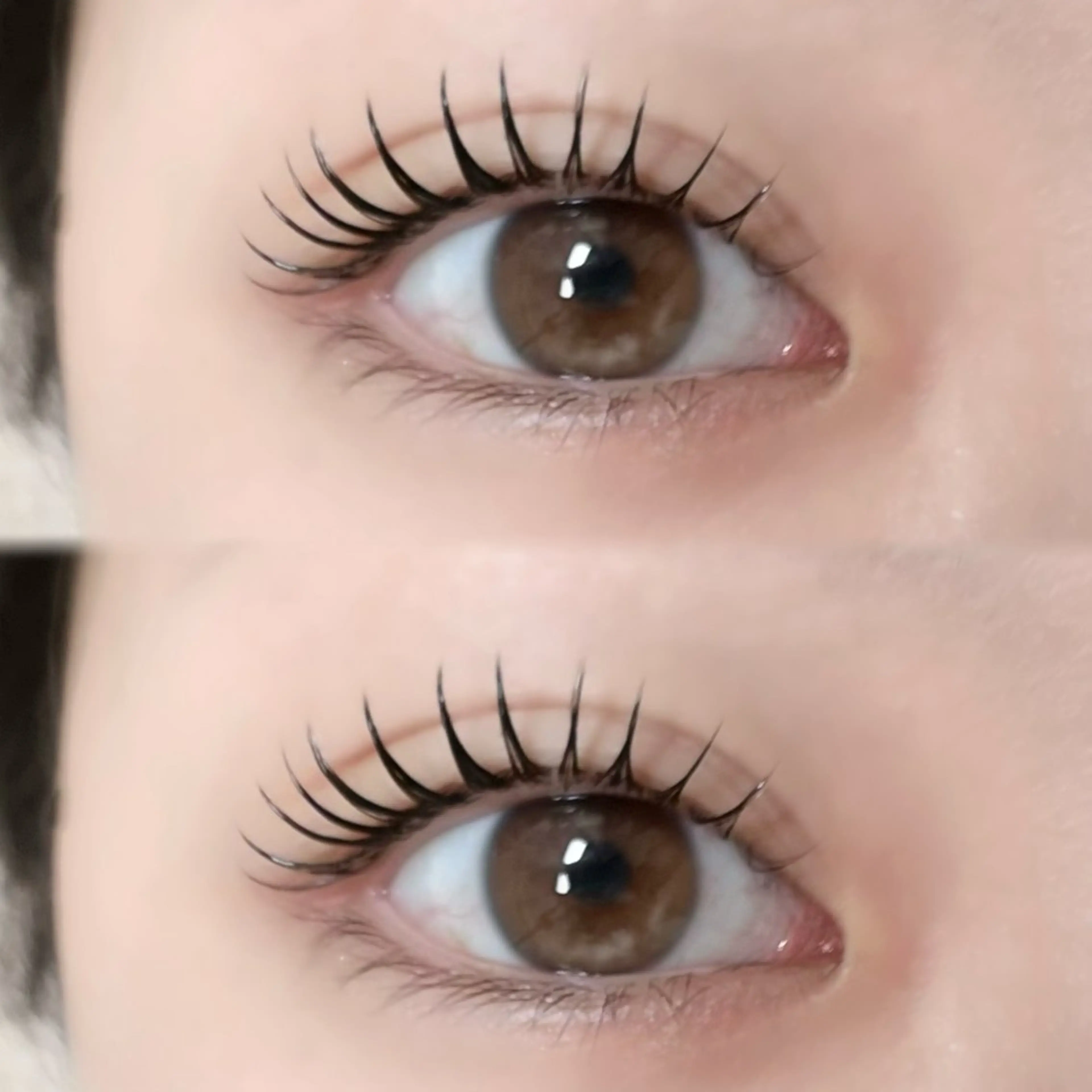 【当日予約限定‼️】マスカラパーマ⭐️ブラックティント使用🐈‍⬛🩶の写真