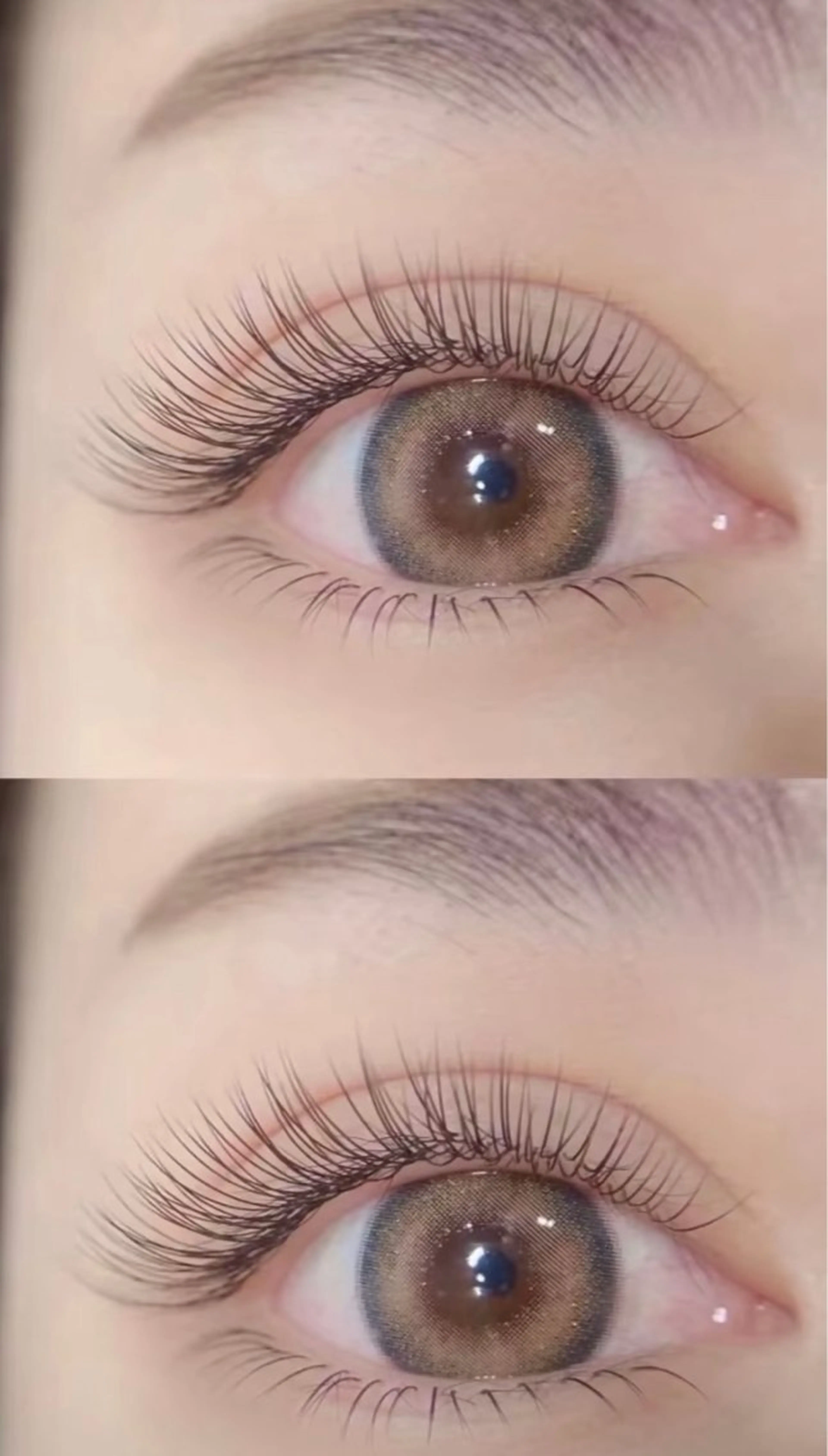 フラットラッシュ100本＆LED込みの写真