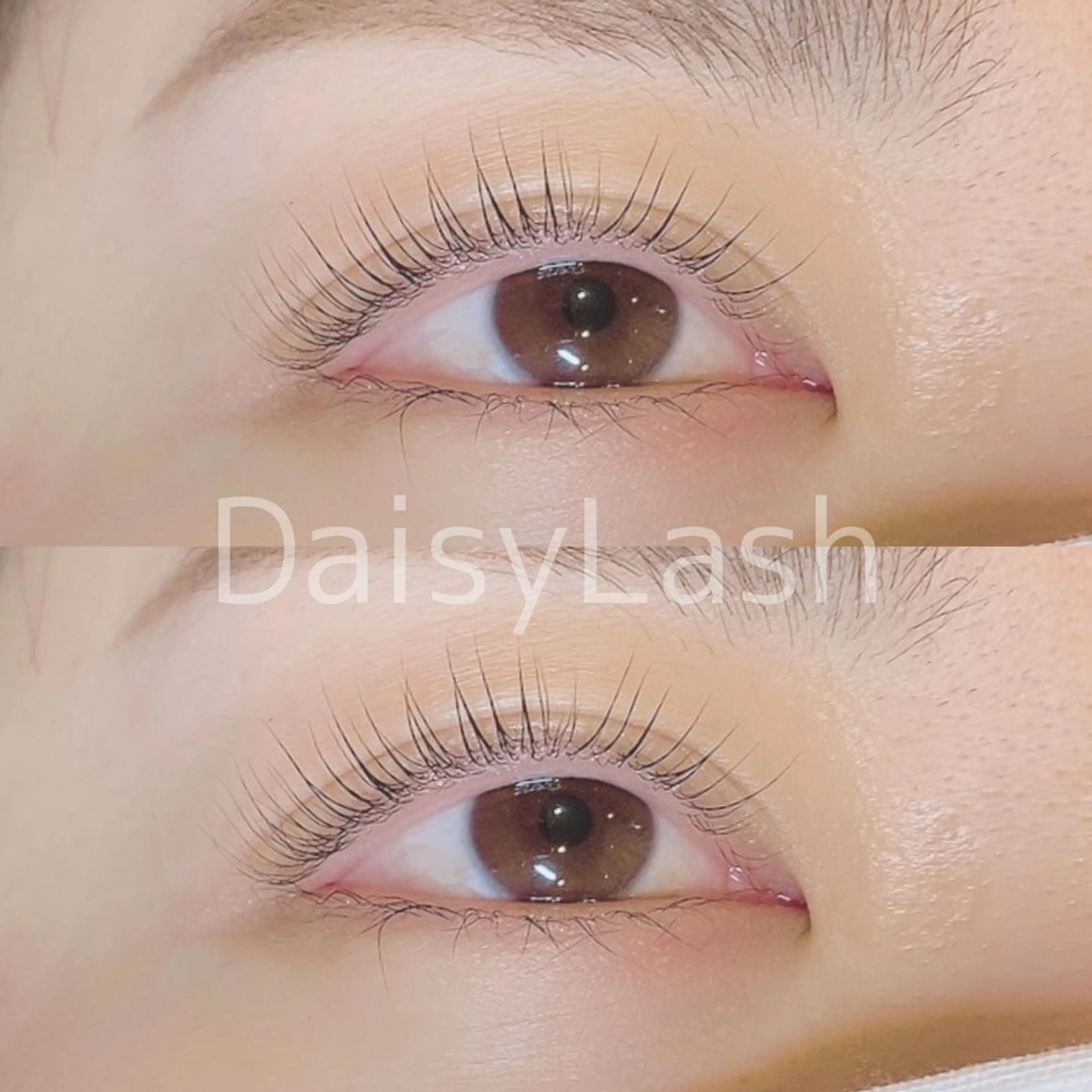 マツエク・マツパ DaisyLash 京橋店のマツエク・マツパデザイン