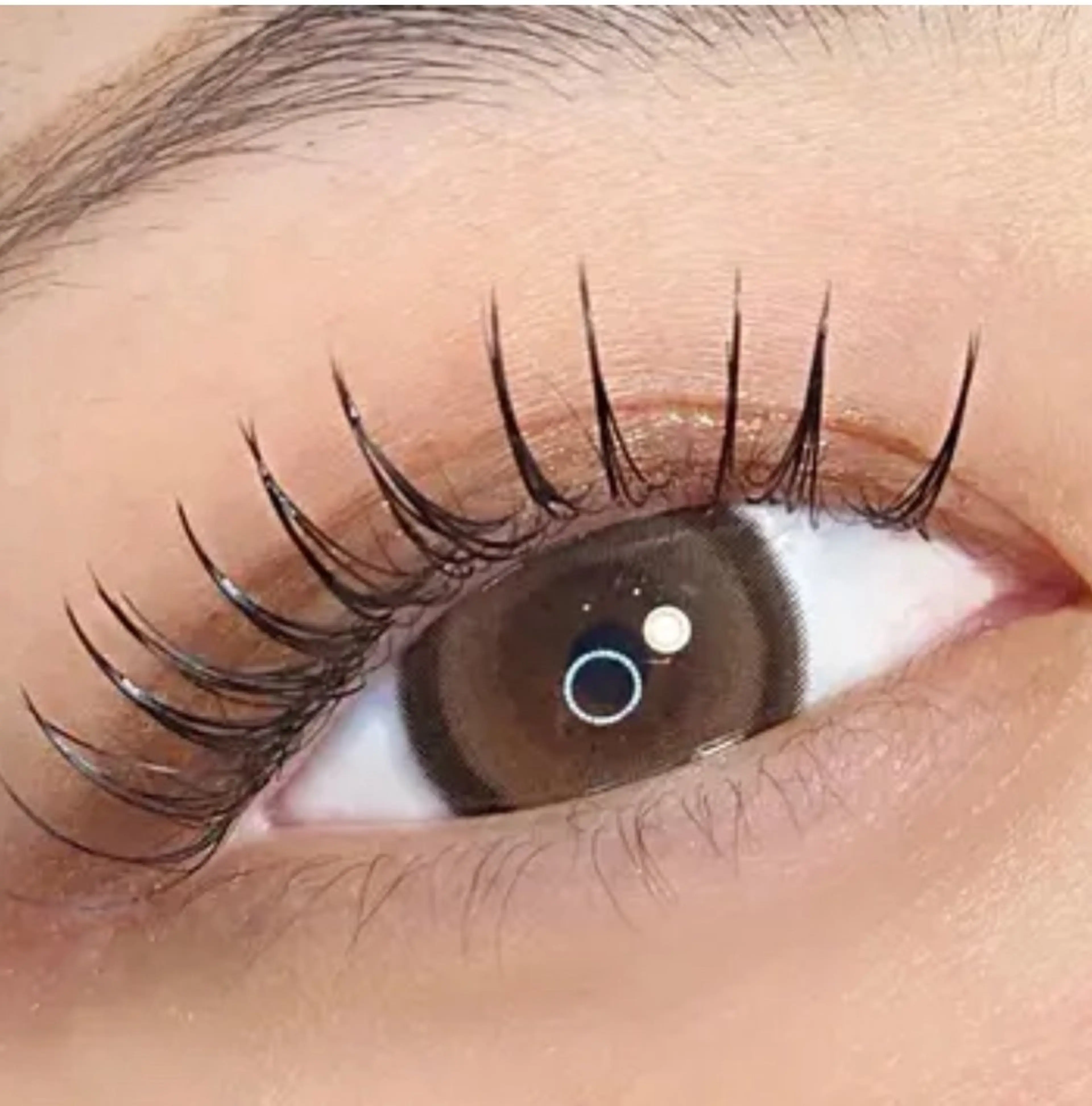 フラットラッシュ100本の写真