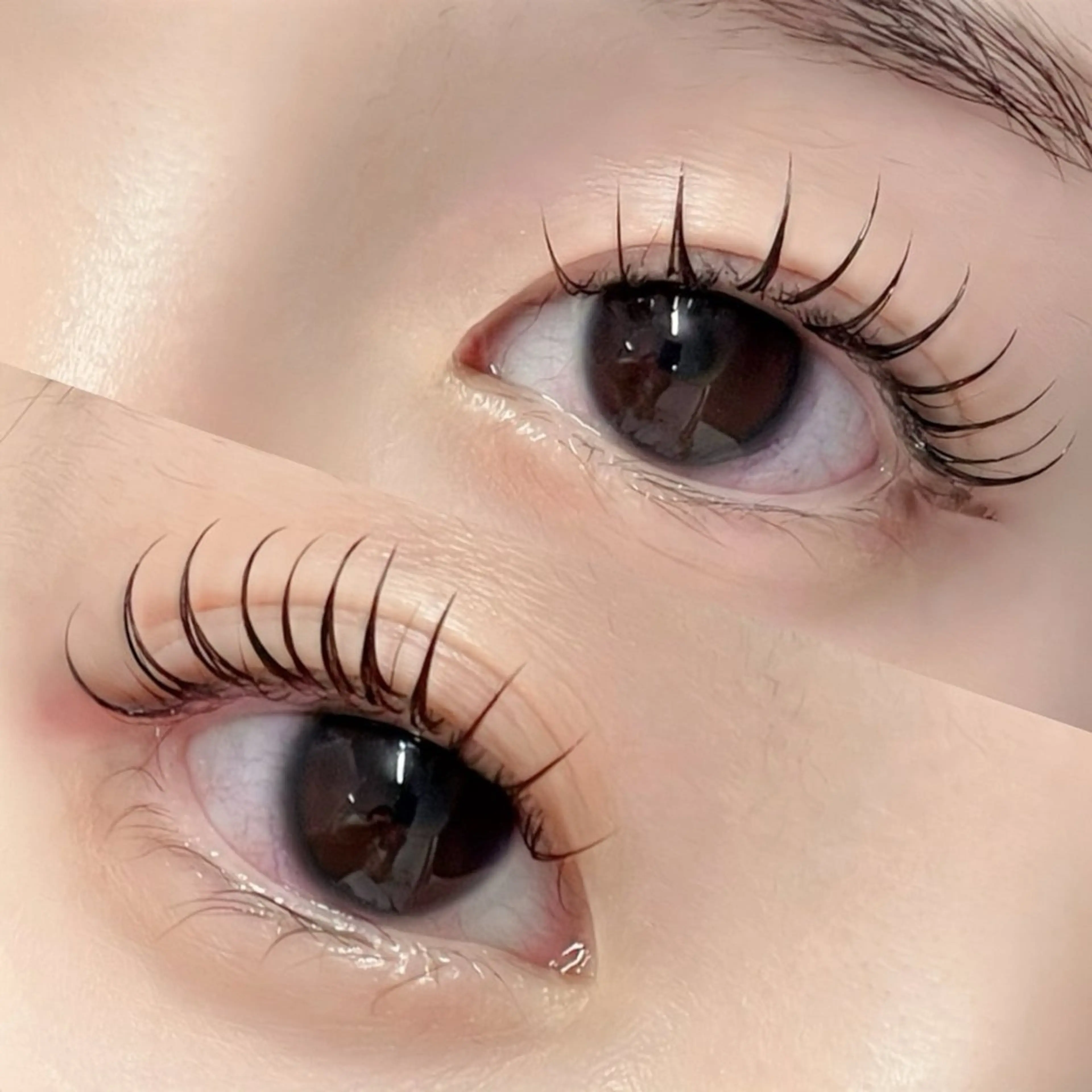 🪡🐏マツエク100本✖️まつ毛パーマで叶える最強目元SET【&healthy |パリエク|エクパーマ】の写真