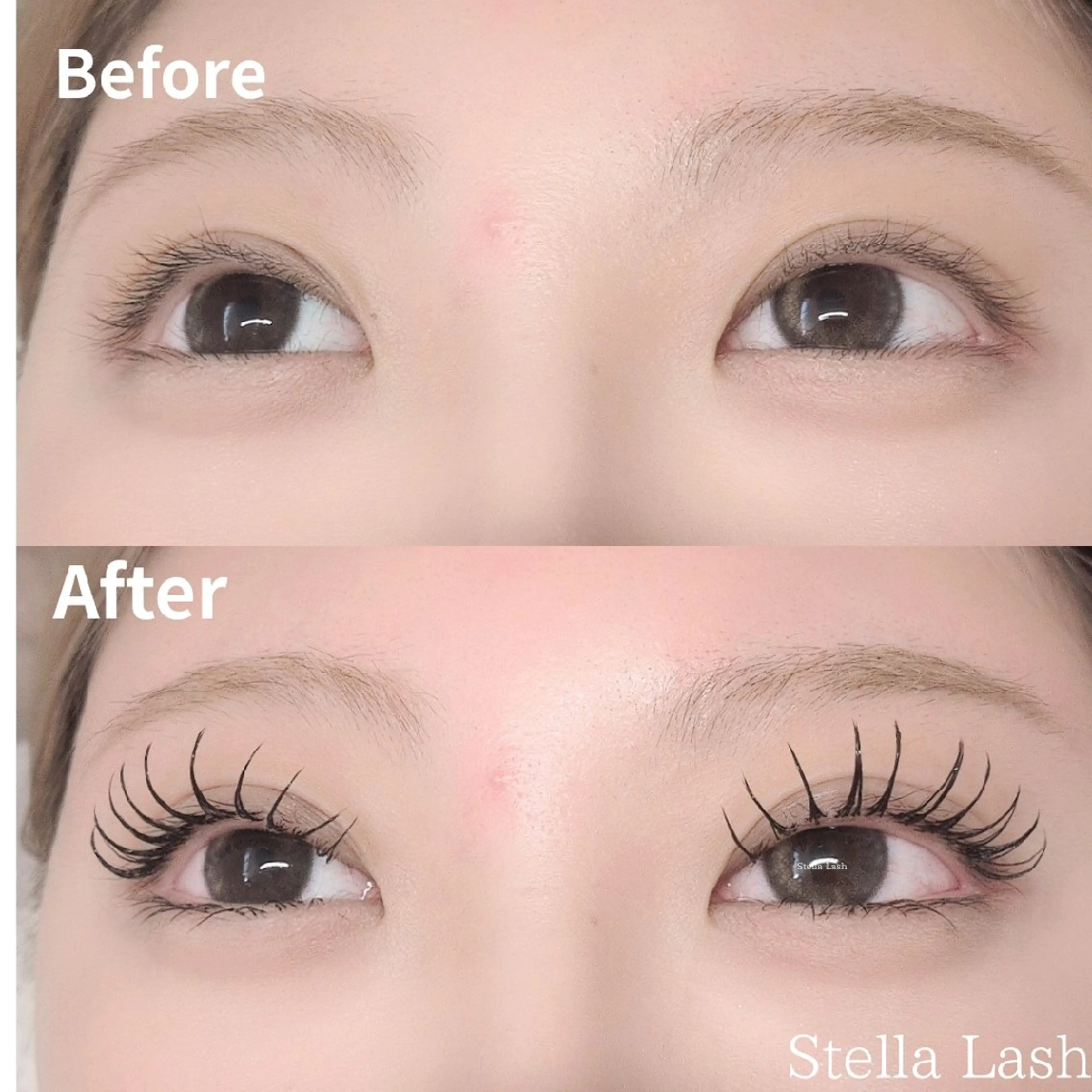 マツエク・マツパ 束感まつ毛 Dカール ナチュラル Stella  Lashのマツエク・マツパデザイン