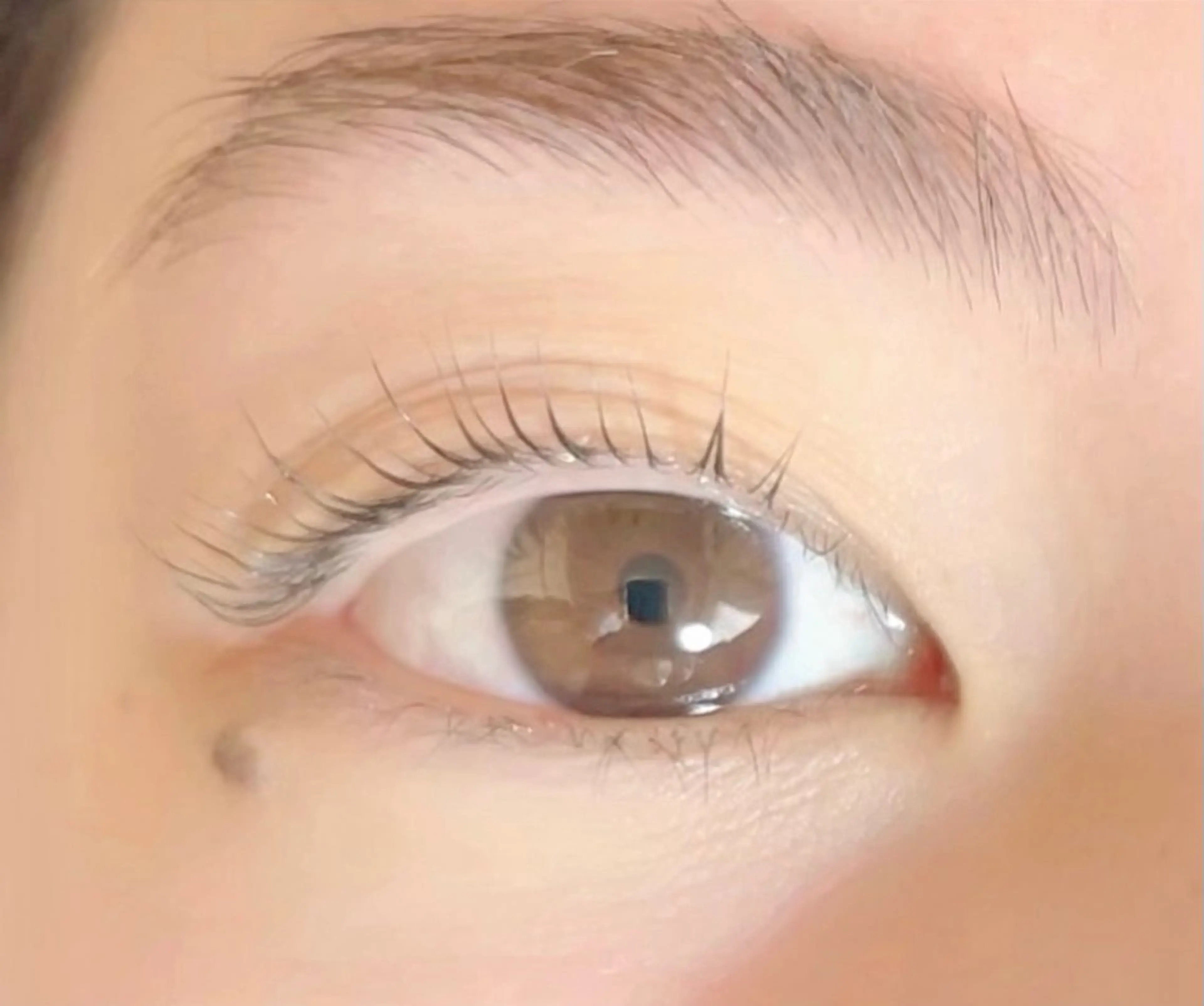 マツエク・マツパ パリジェンヌラッシュリフト まつげパーマ 🧸 Emiri🫧のマツエク・マツパデザイン