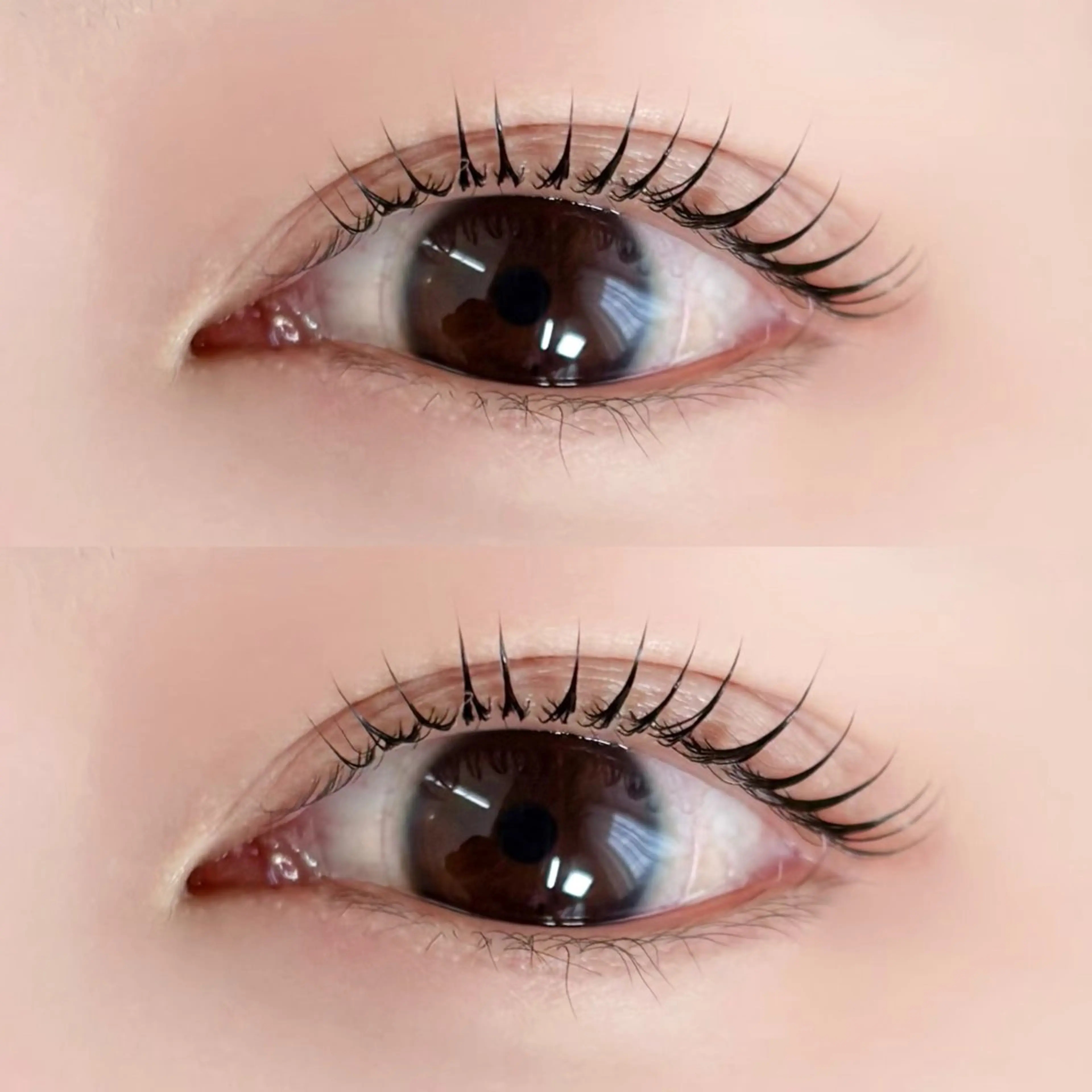 マツエク・マツパ マツパ nerine天神 miriaのマツエク・マツパデザイン