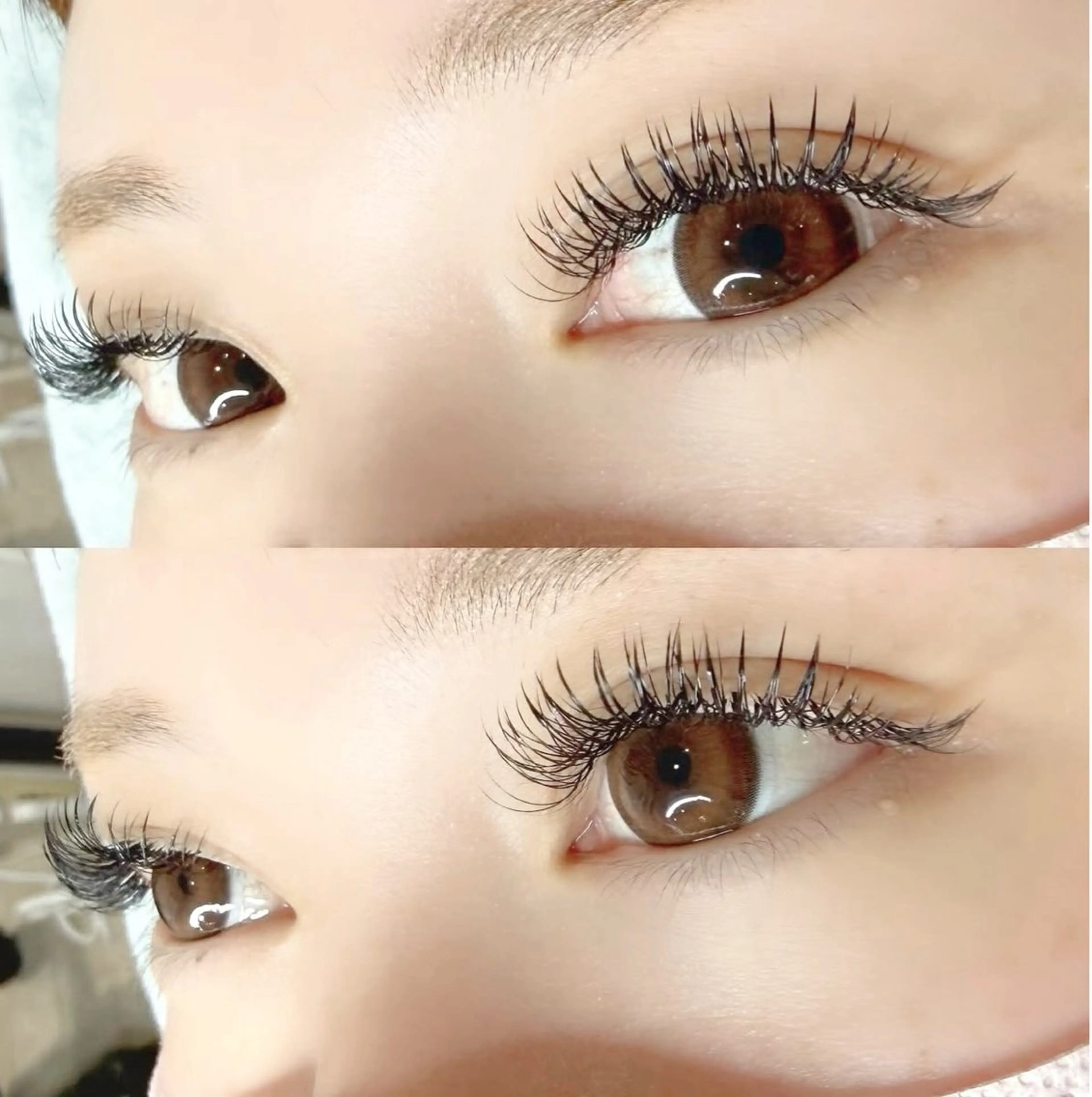 🤍ダフルフラットラッシュ100束🤍の写真