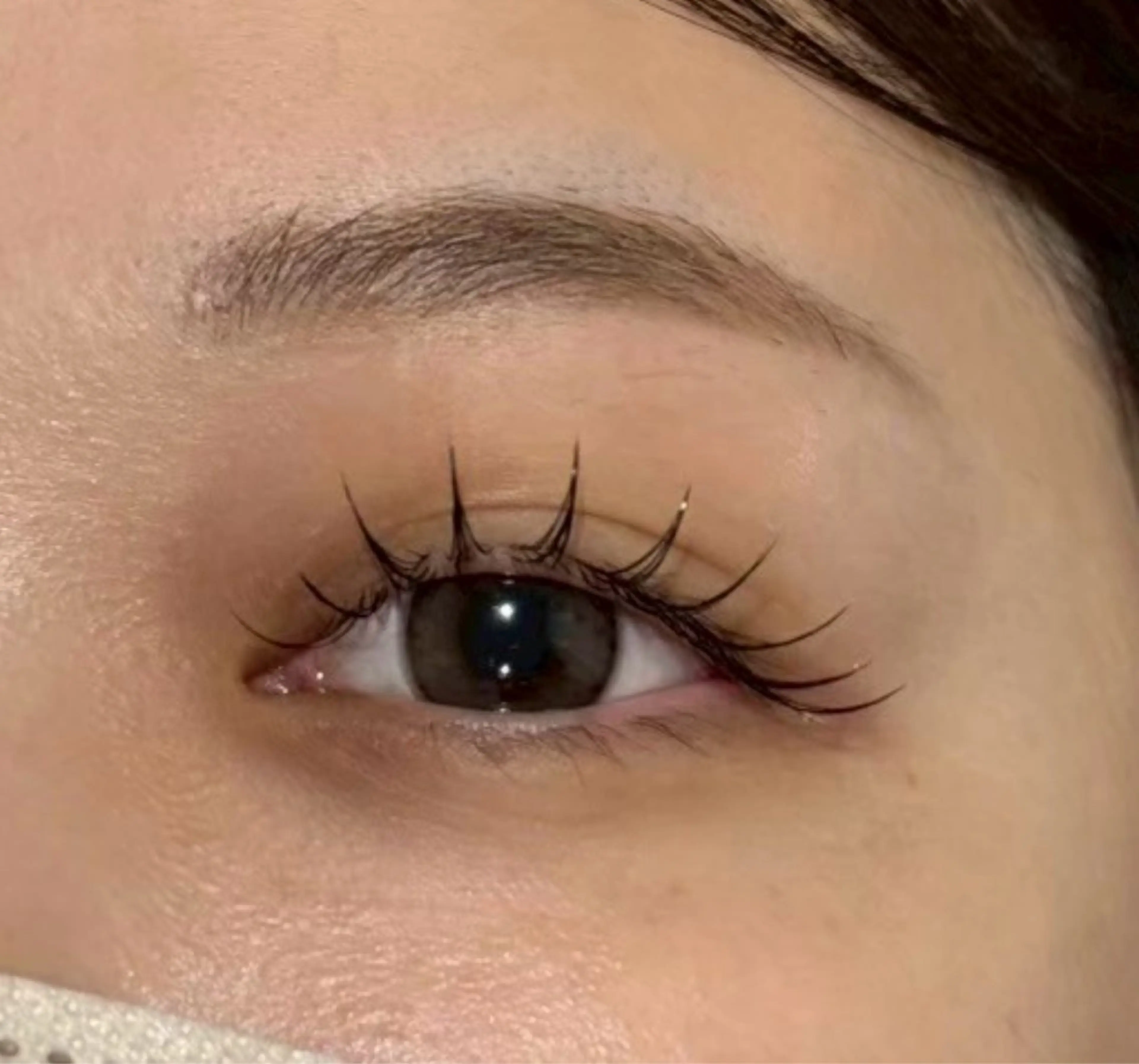 フラットラッシュ120本の写真