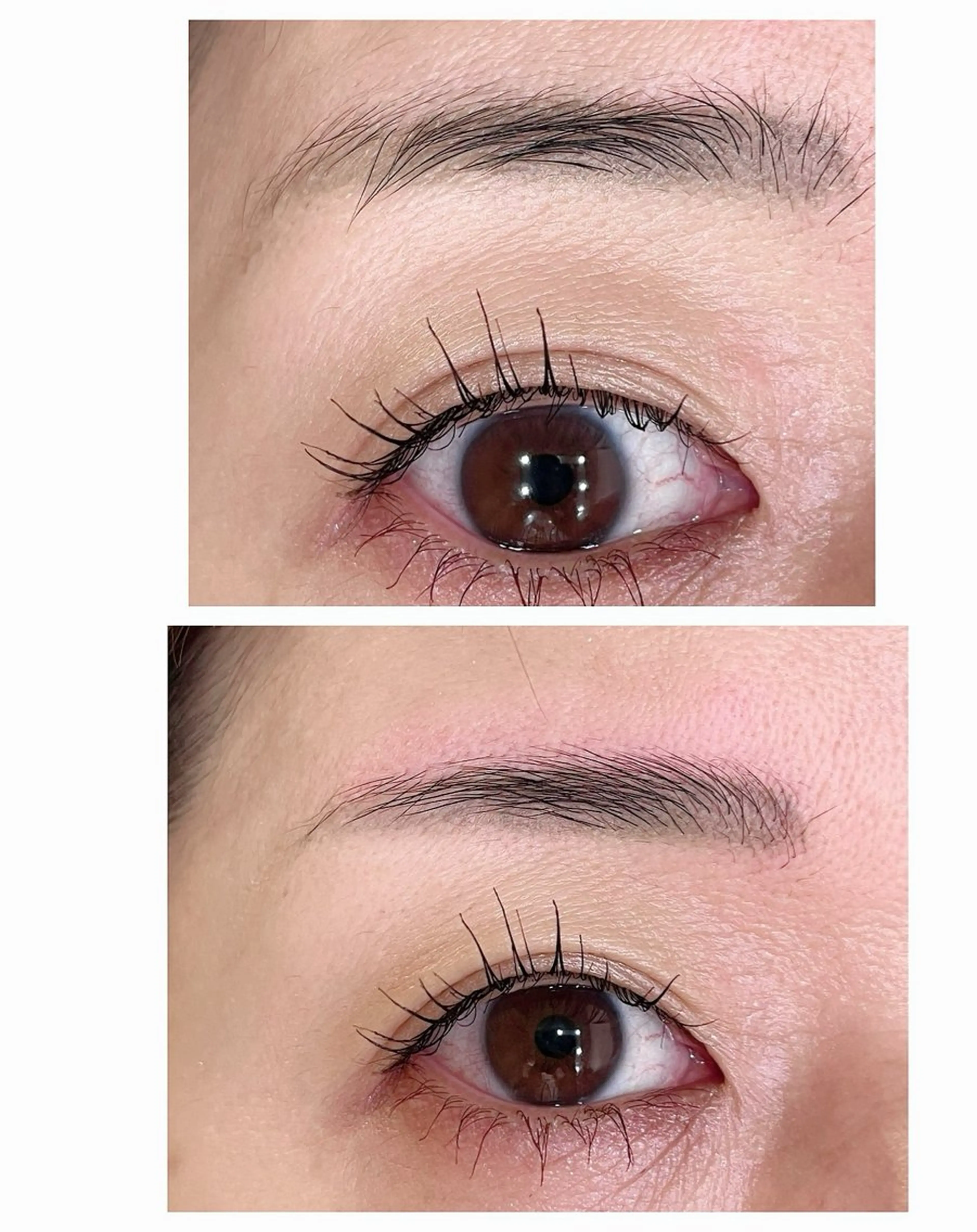 アイブロウ ワックス脱毛 眉カット その他(アイブロウ) Alyssum Akiのマツエク・マツパデザイン