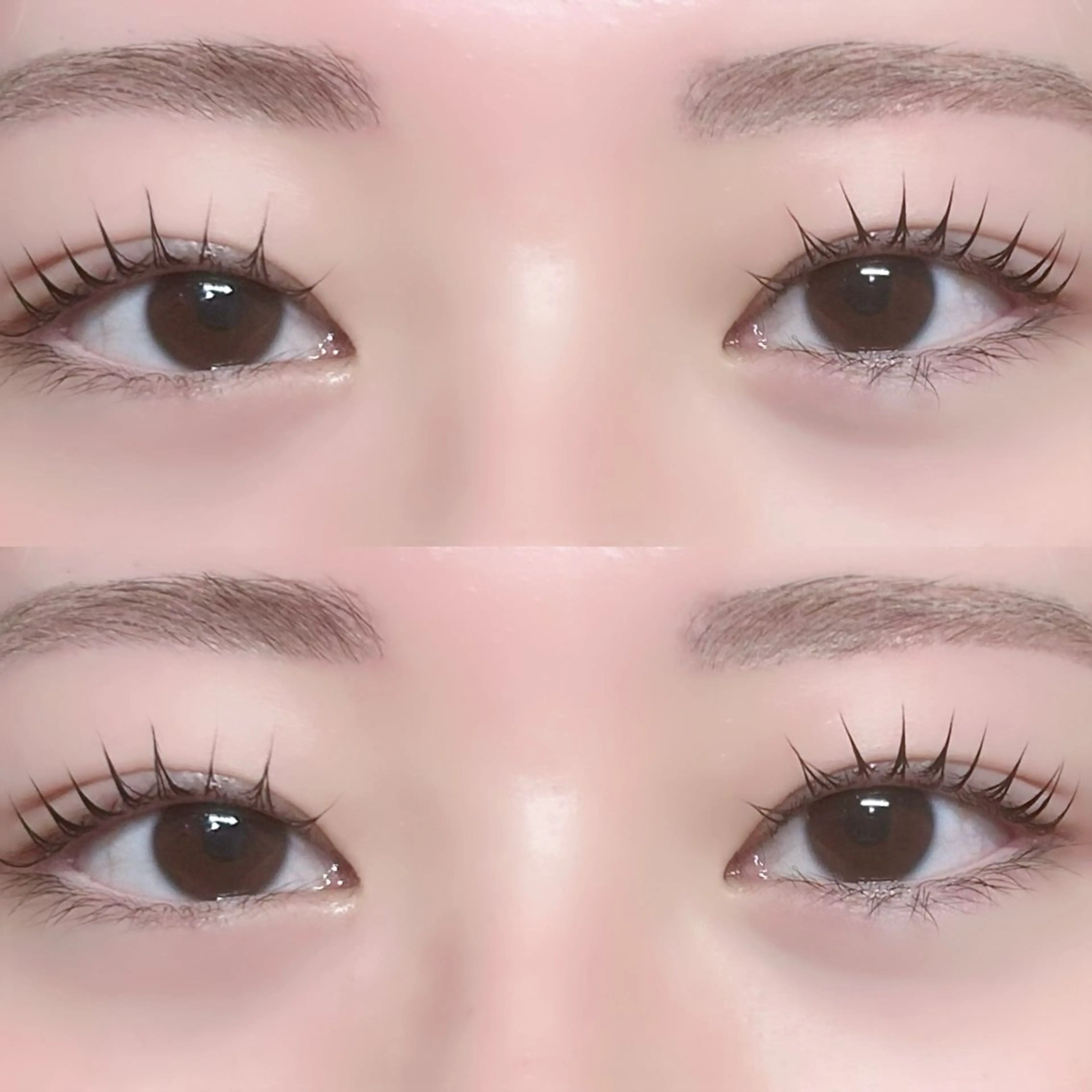 マツエク・マツパ 👑𝐊𝐢𝐧𝐠 心斎橋MIREI🌺のマツエク・マツパデザイン