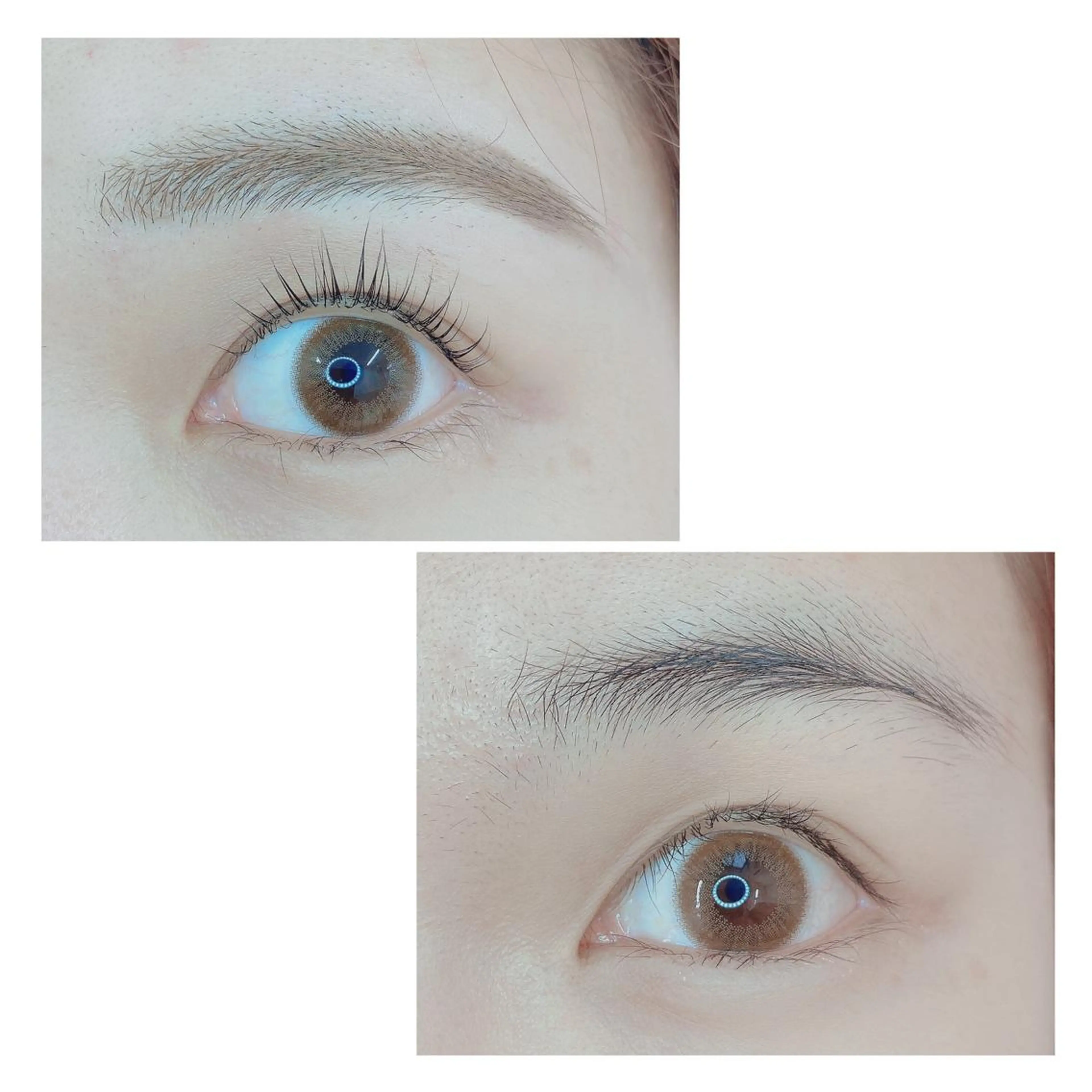 マツエク・マツパ アイブロウ TIARA池袋西口店 店長YASUKA💐のマツエク・マツパデザイン