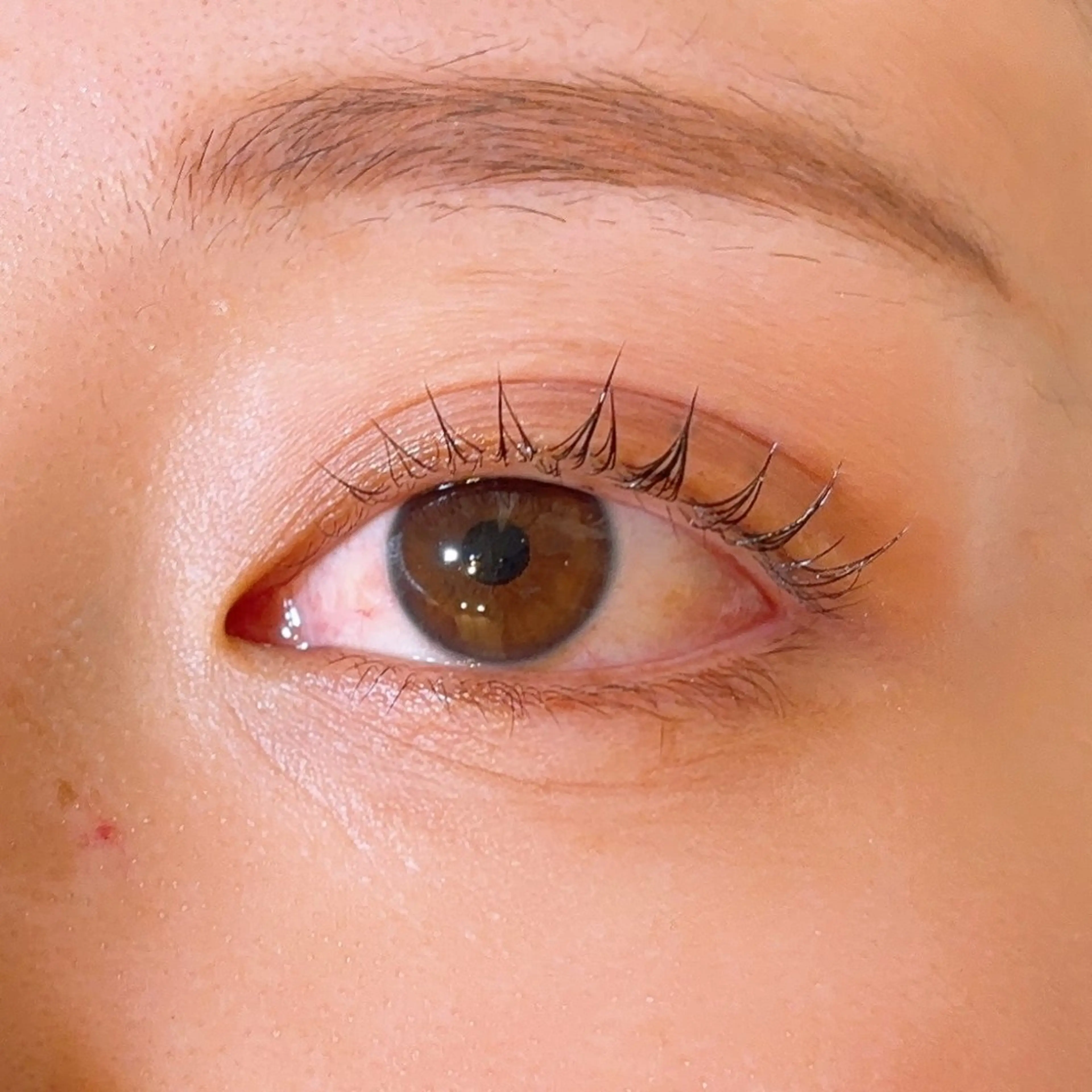 マツエク・マツパ Honey＆Miel ‪🐣‎🤍AiRiのマツエク・マツパデザイン