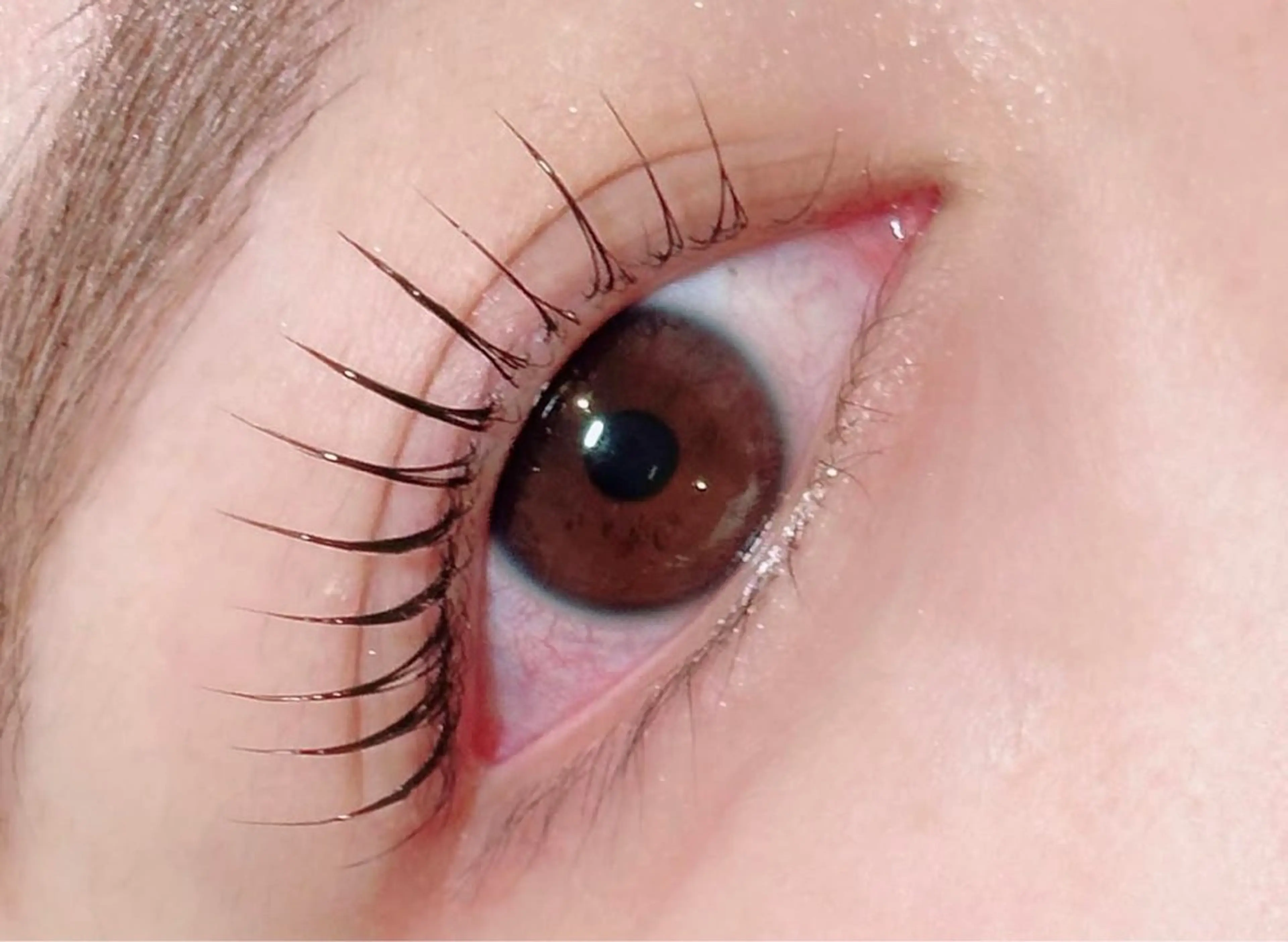 マツエク・マツパ EVER EYESのマツエク・マツパデザイン