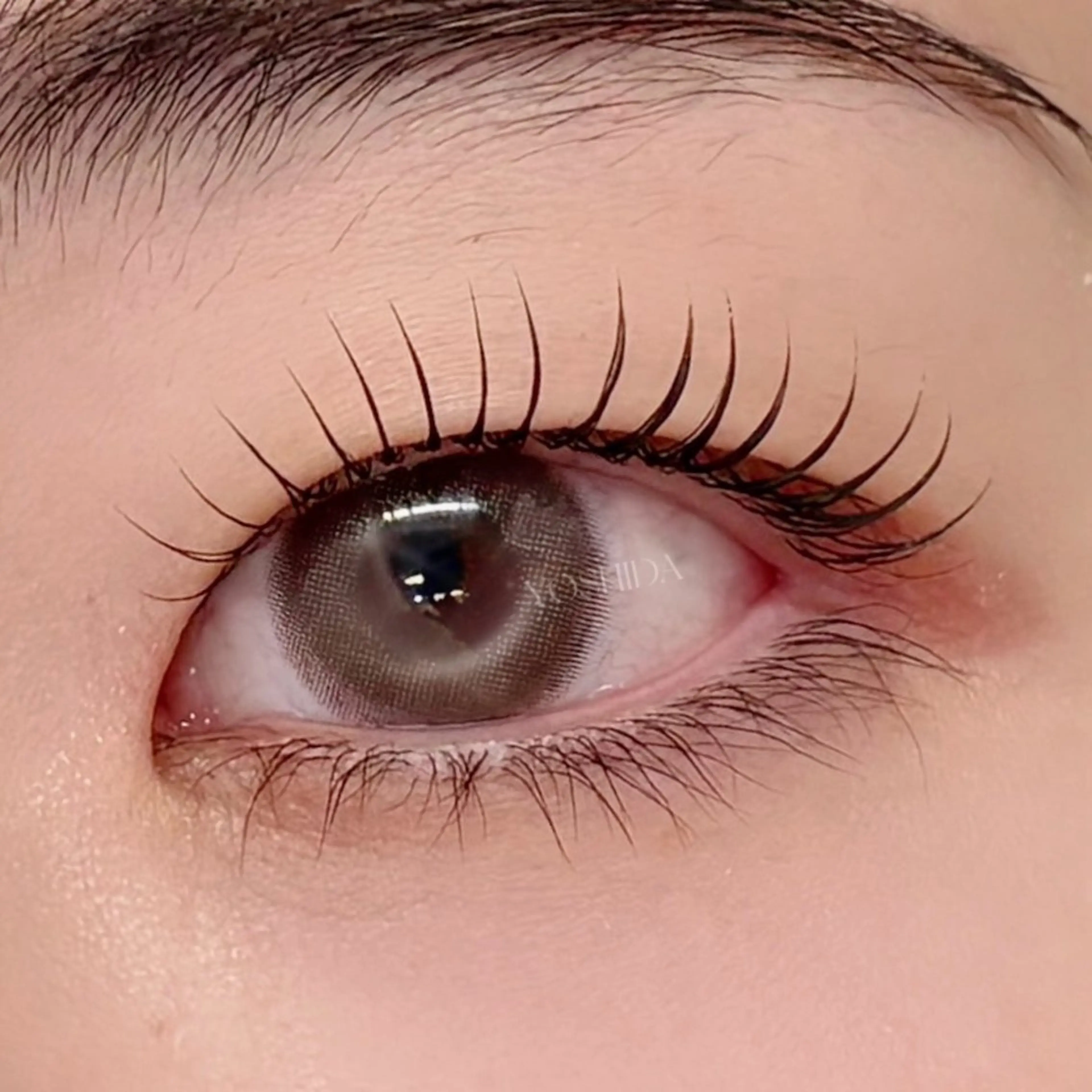 【minimo限定🌈】ラッシュリフト(まつ毛パーマ)🪽仕上げアイシャンプー+コーティング付💫の写真